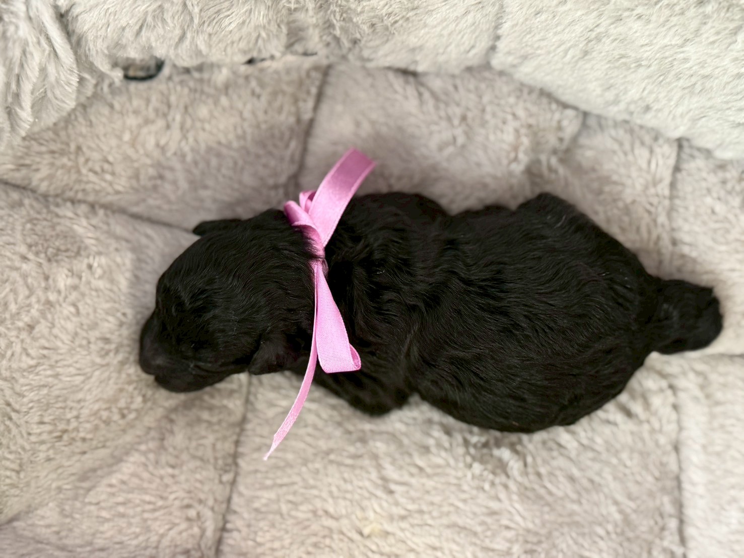 赤ちゃん写真1-3