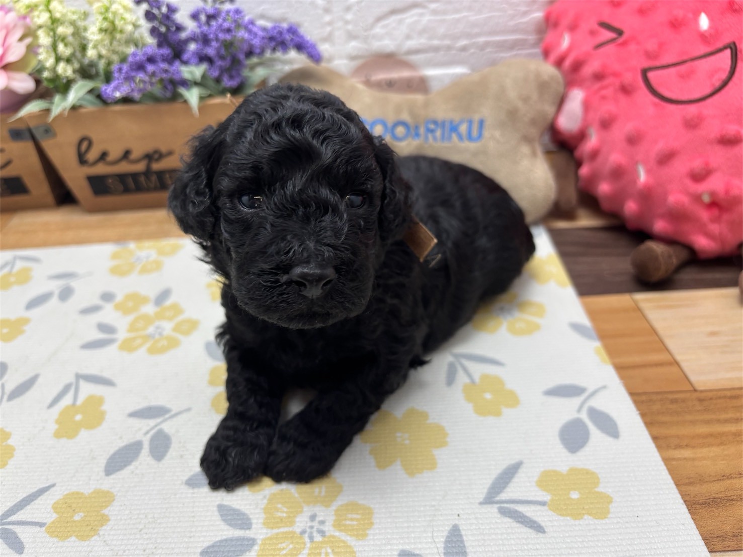 赤ちゃん写真2-1