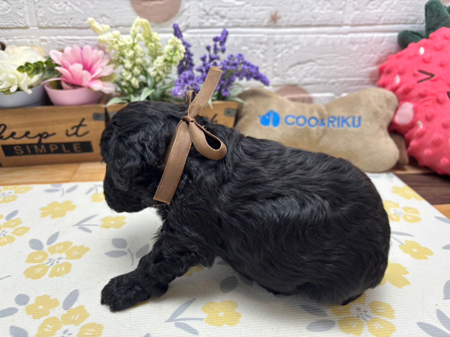 赤ちゃん写真2-2