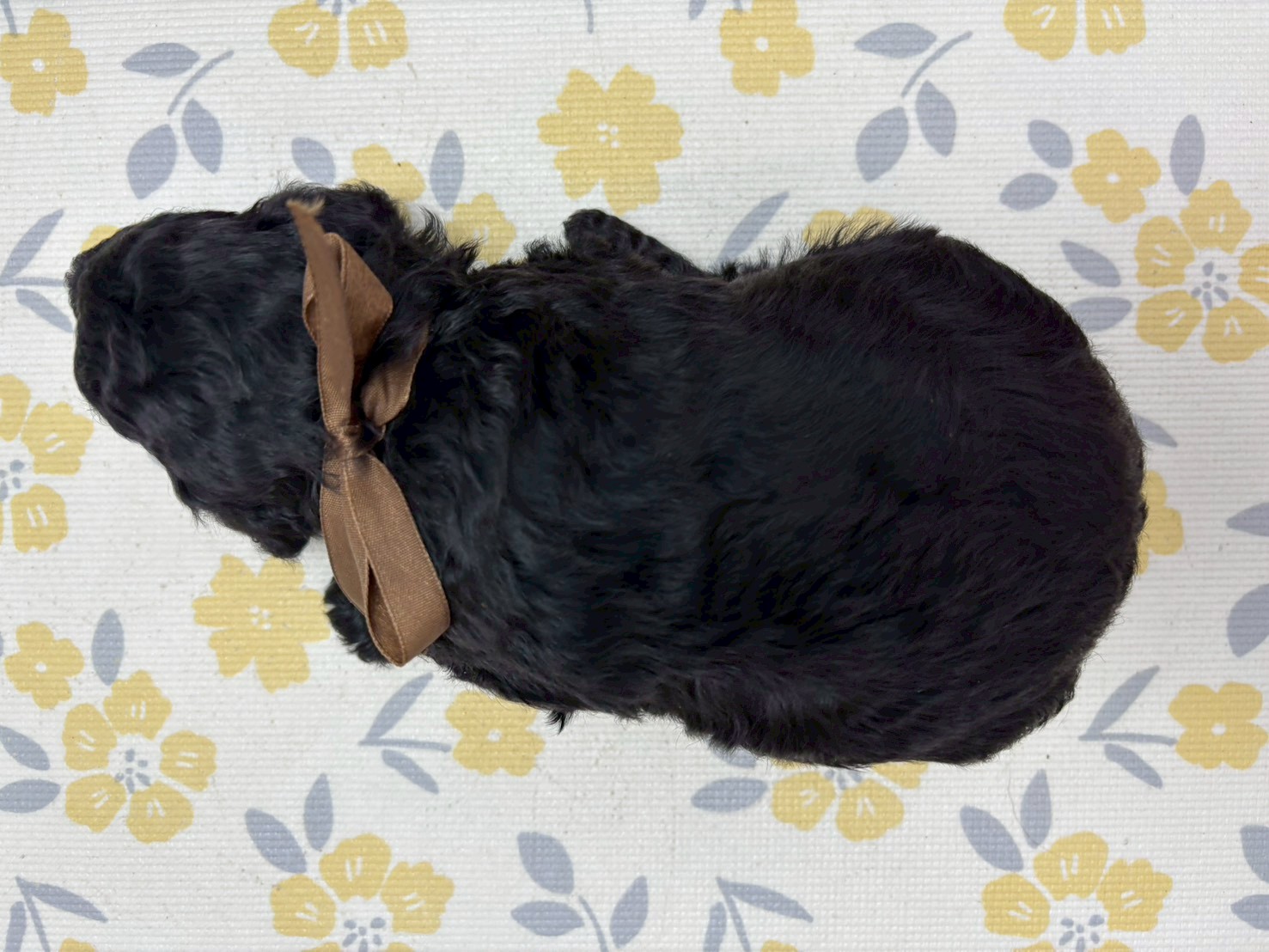 赤ちゃん写真2-3