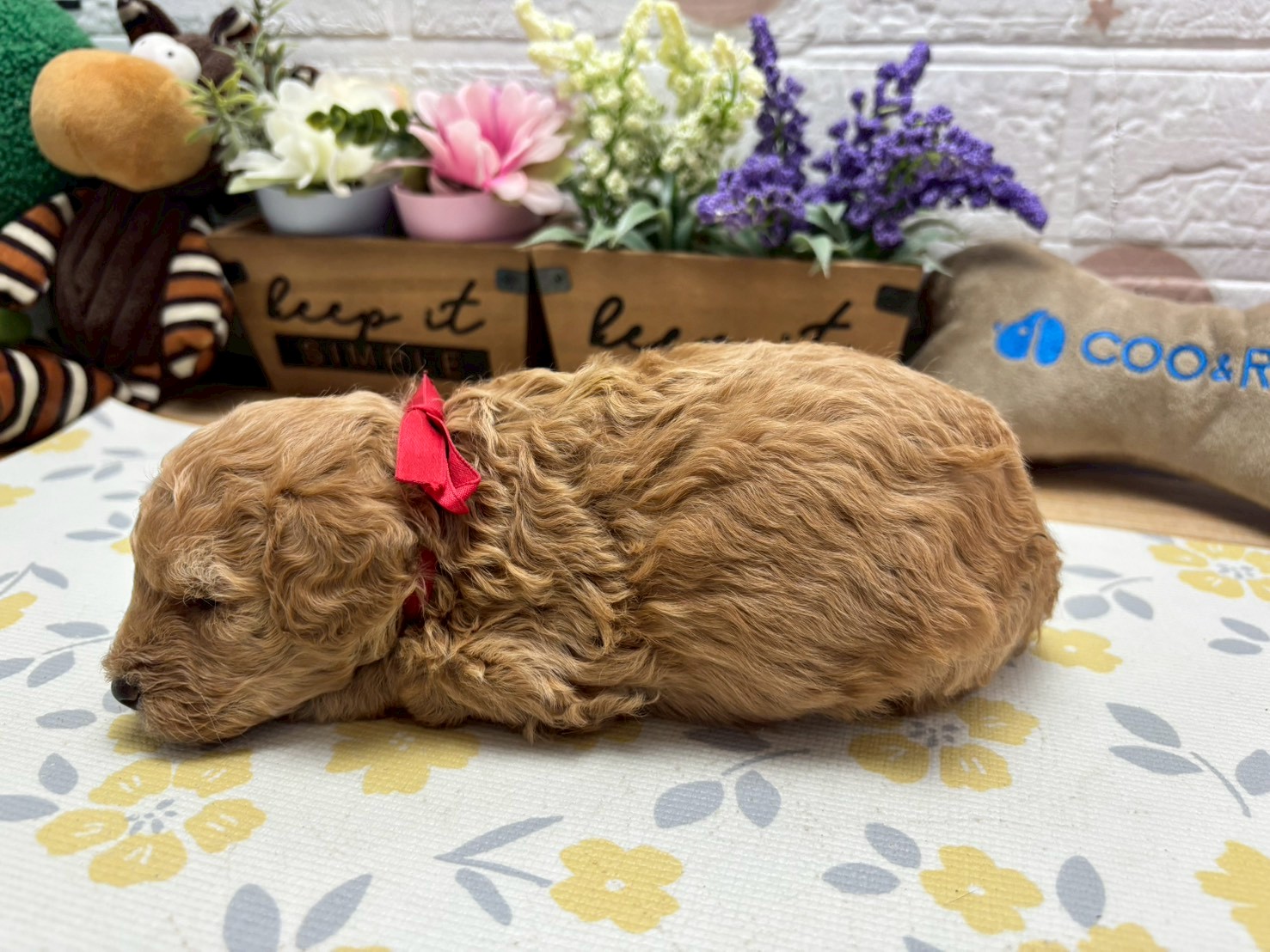 赤ちゃん写真2-2