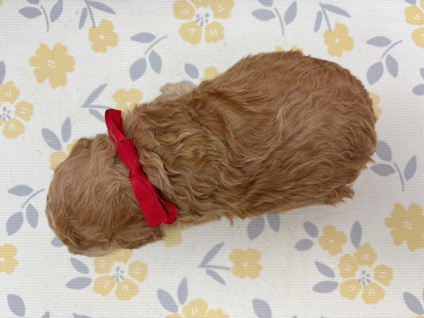 赤ちゃん写真2-3