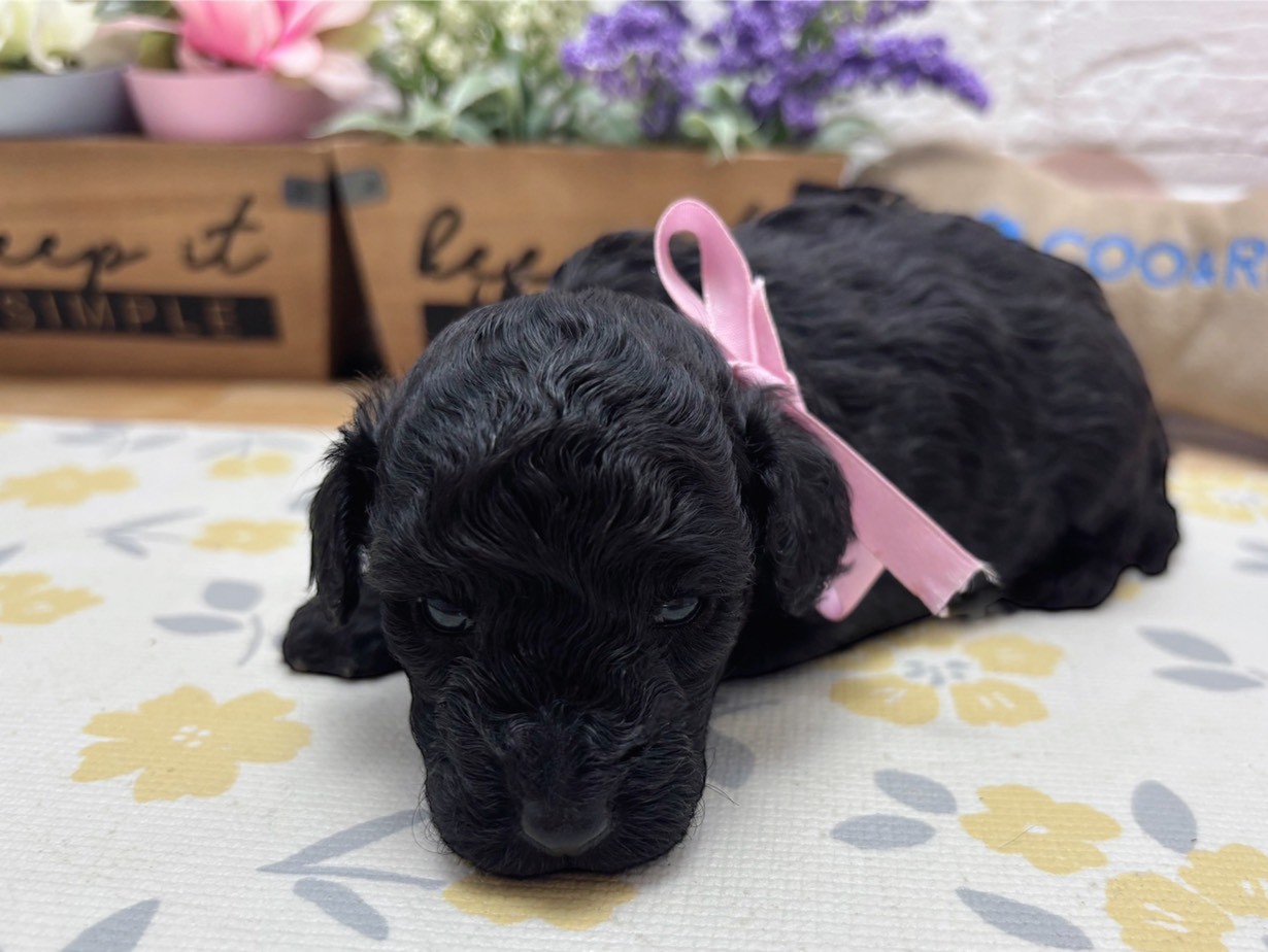 赤ちゃん写真2-1