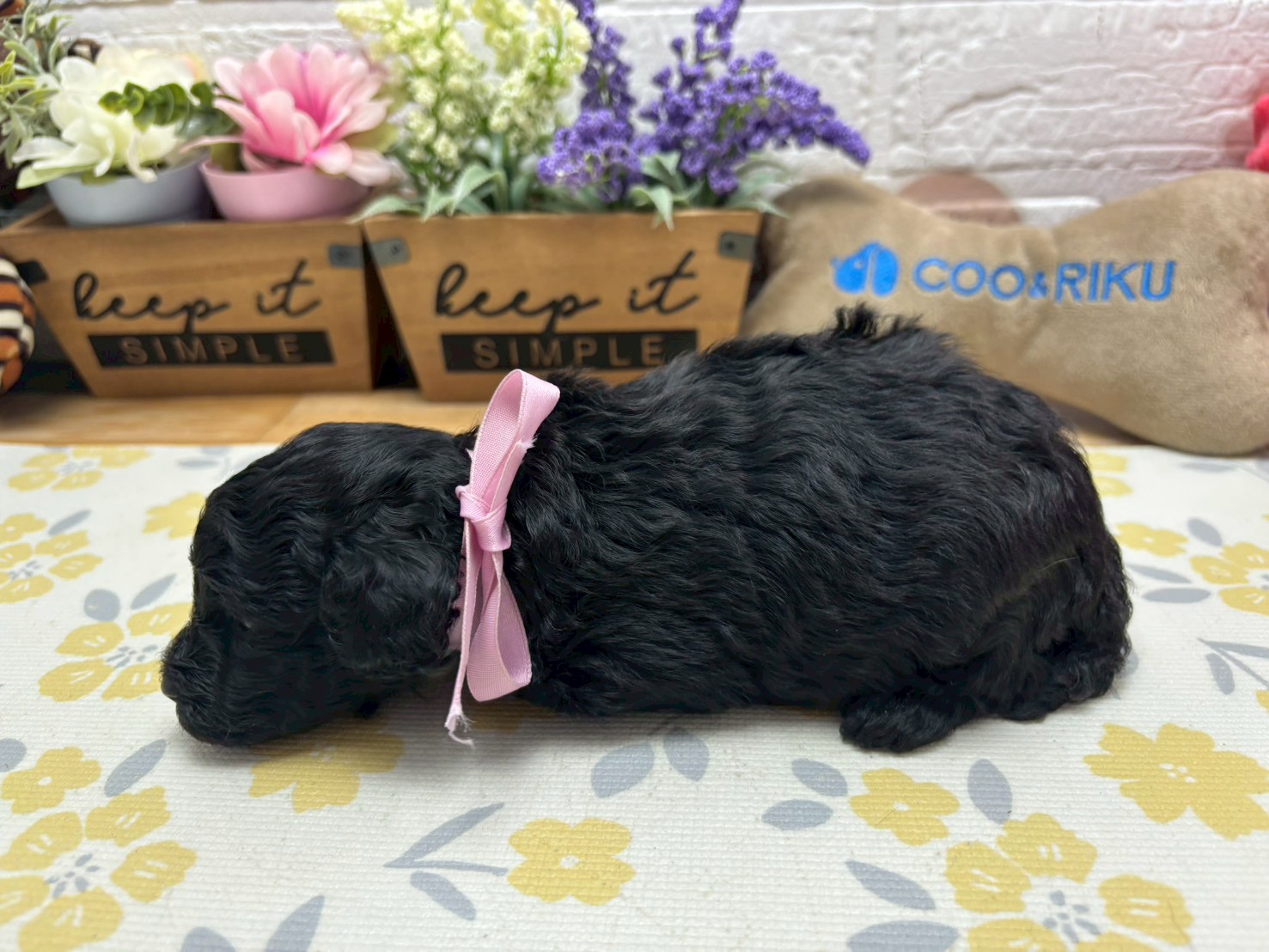 赤ちゃん写真2-2