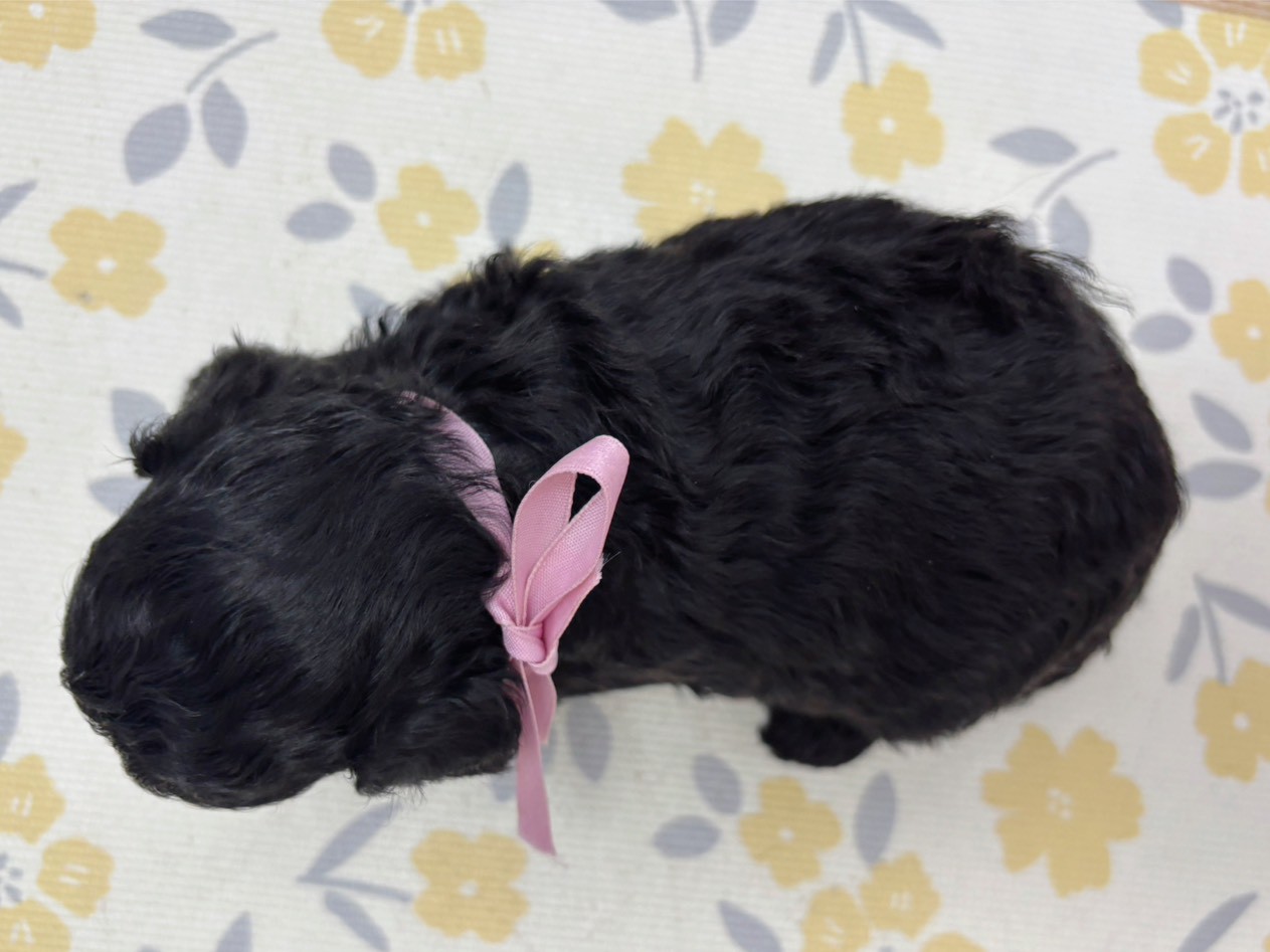 赤ちゃん写真2-3