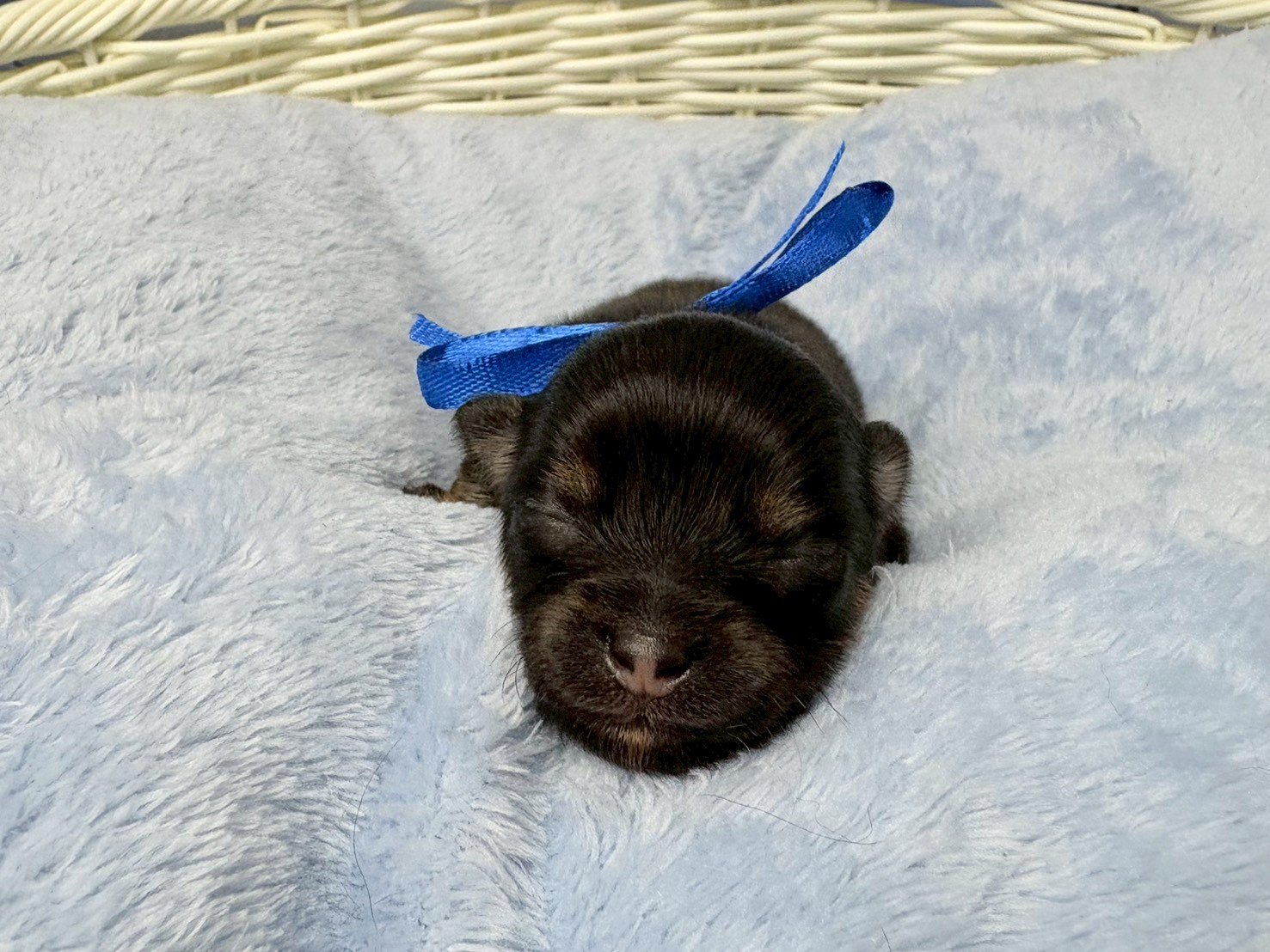 赤ちゃん写真1-1