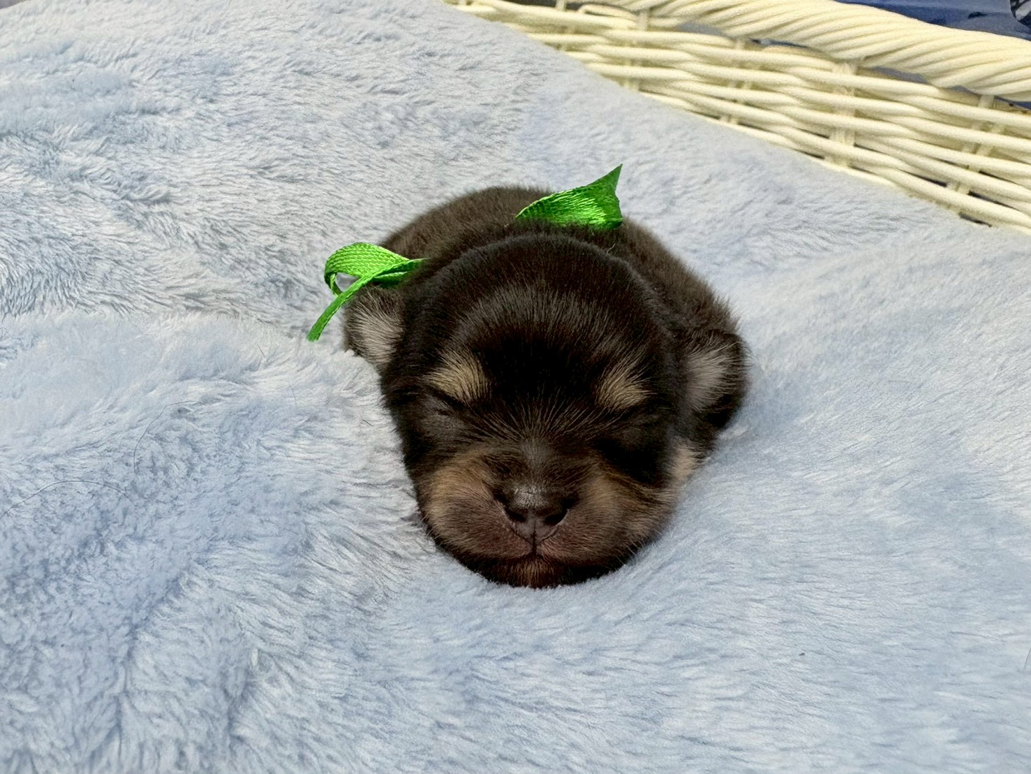 赤ちゃん写真1-1