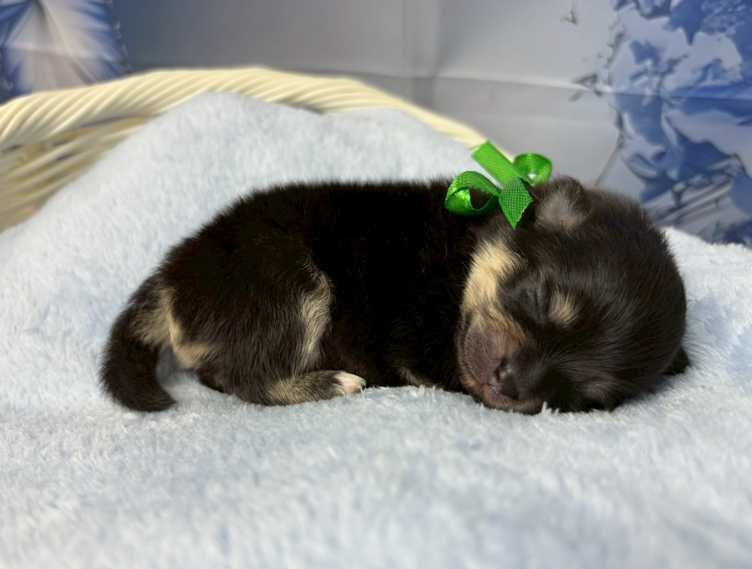 赤ちゃん写真1-2