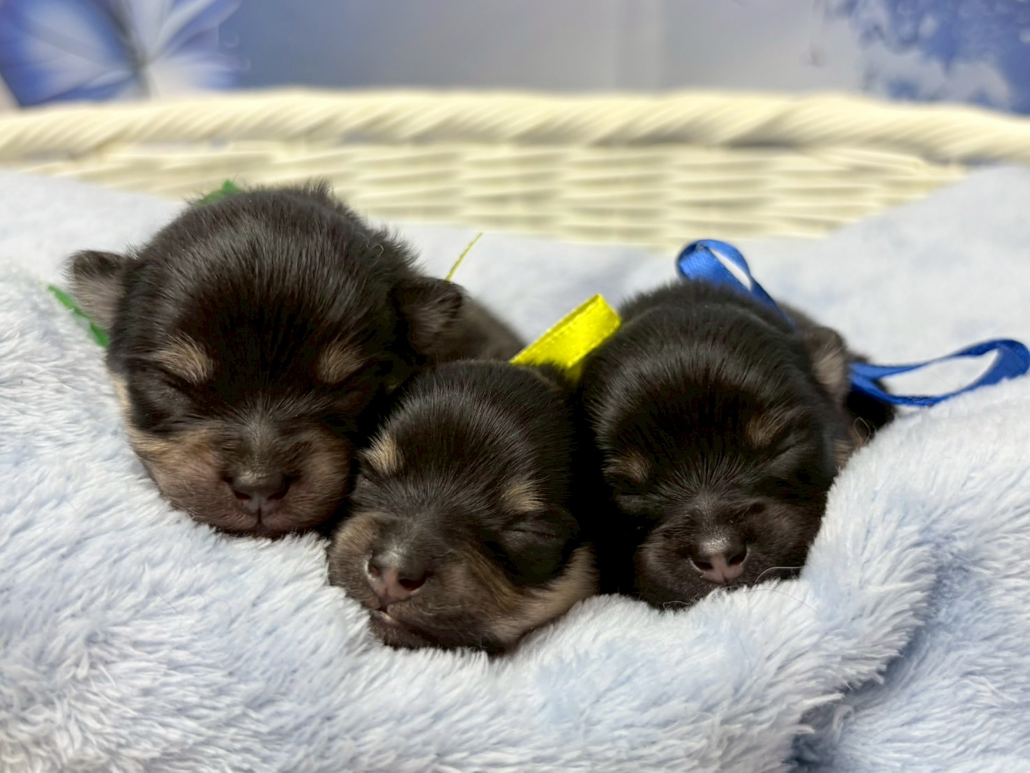 赤ちゃん写真1-3