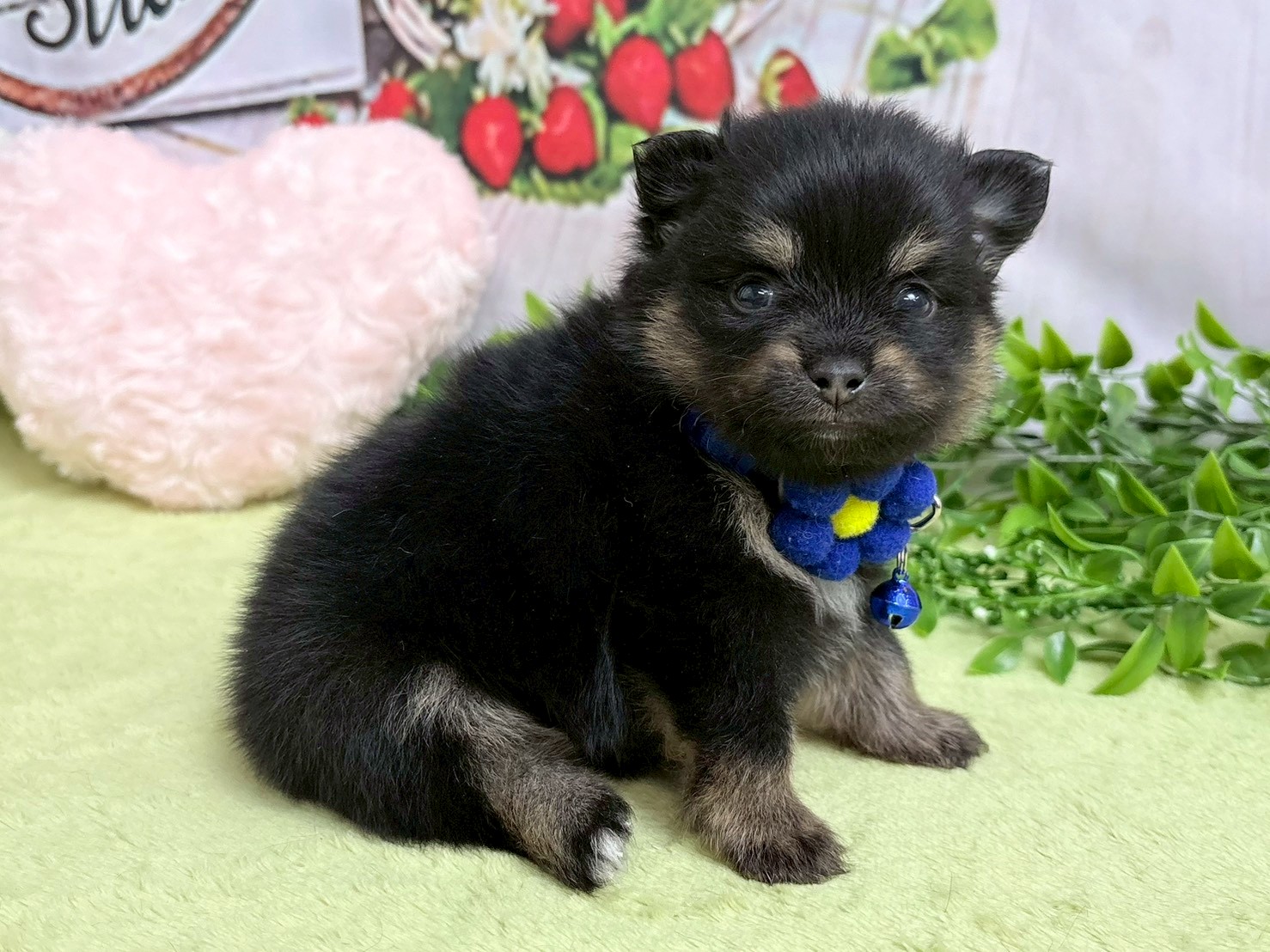 赤ちゃん写真2-2