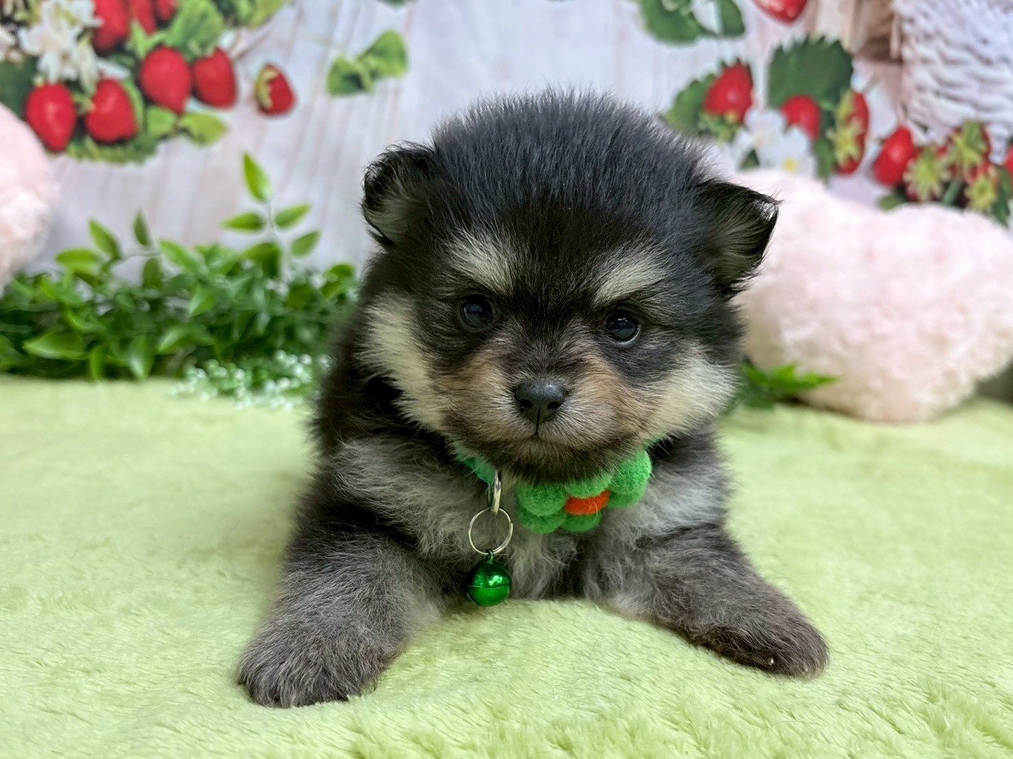 赤ちゃん写真2-1