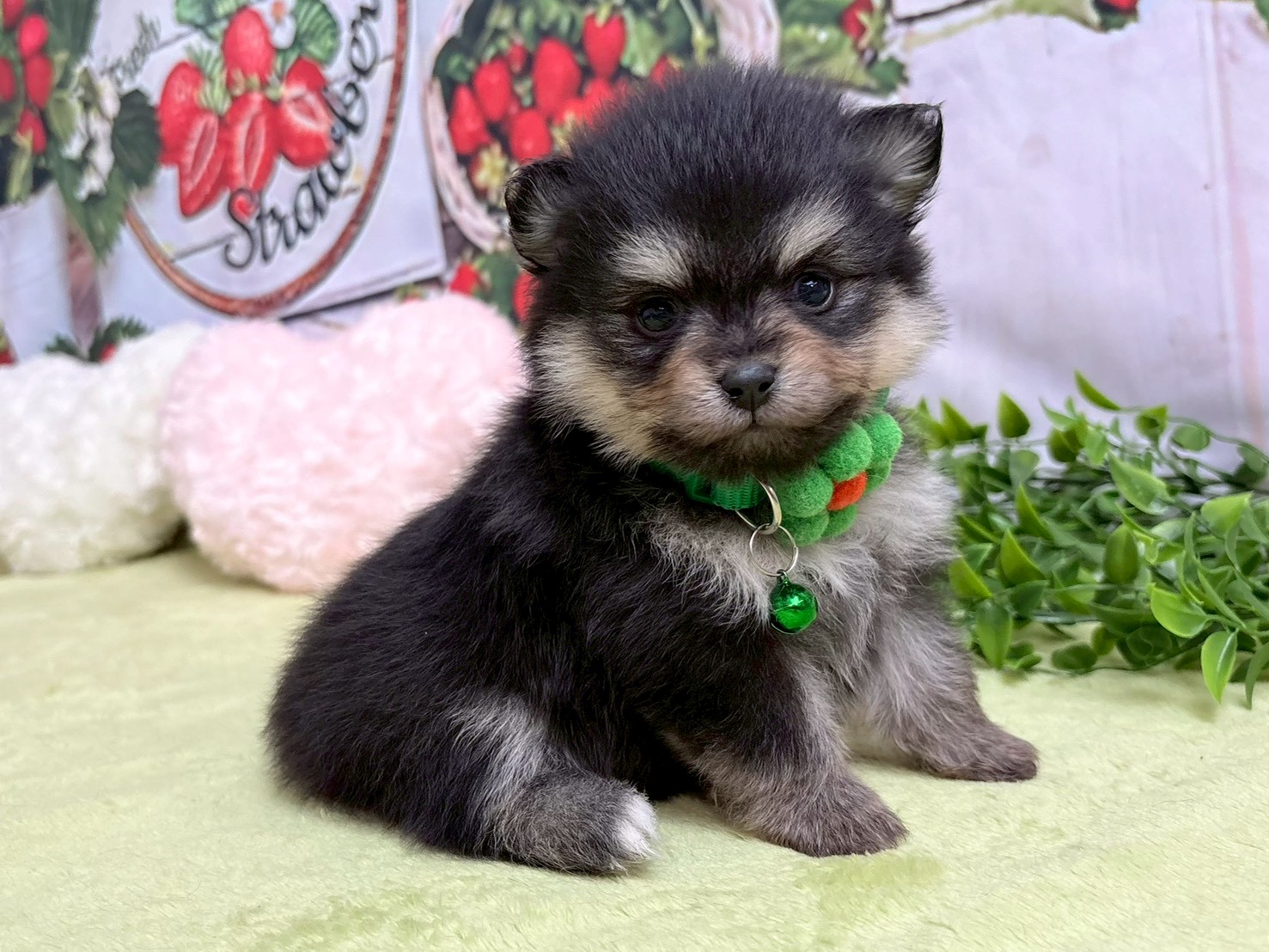 赤ちゃん写真2-2