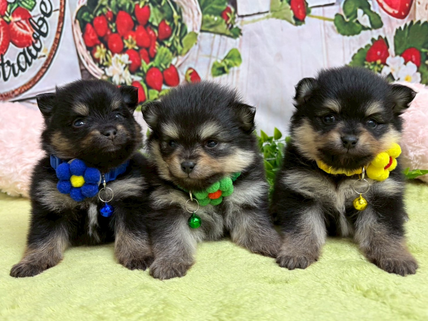 赤ちゃん写真2-3