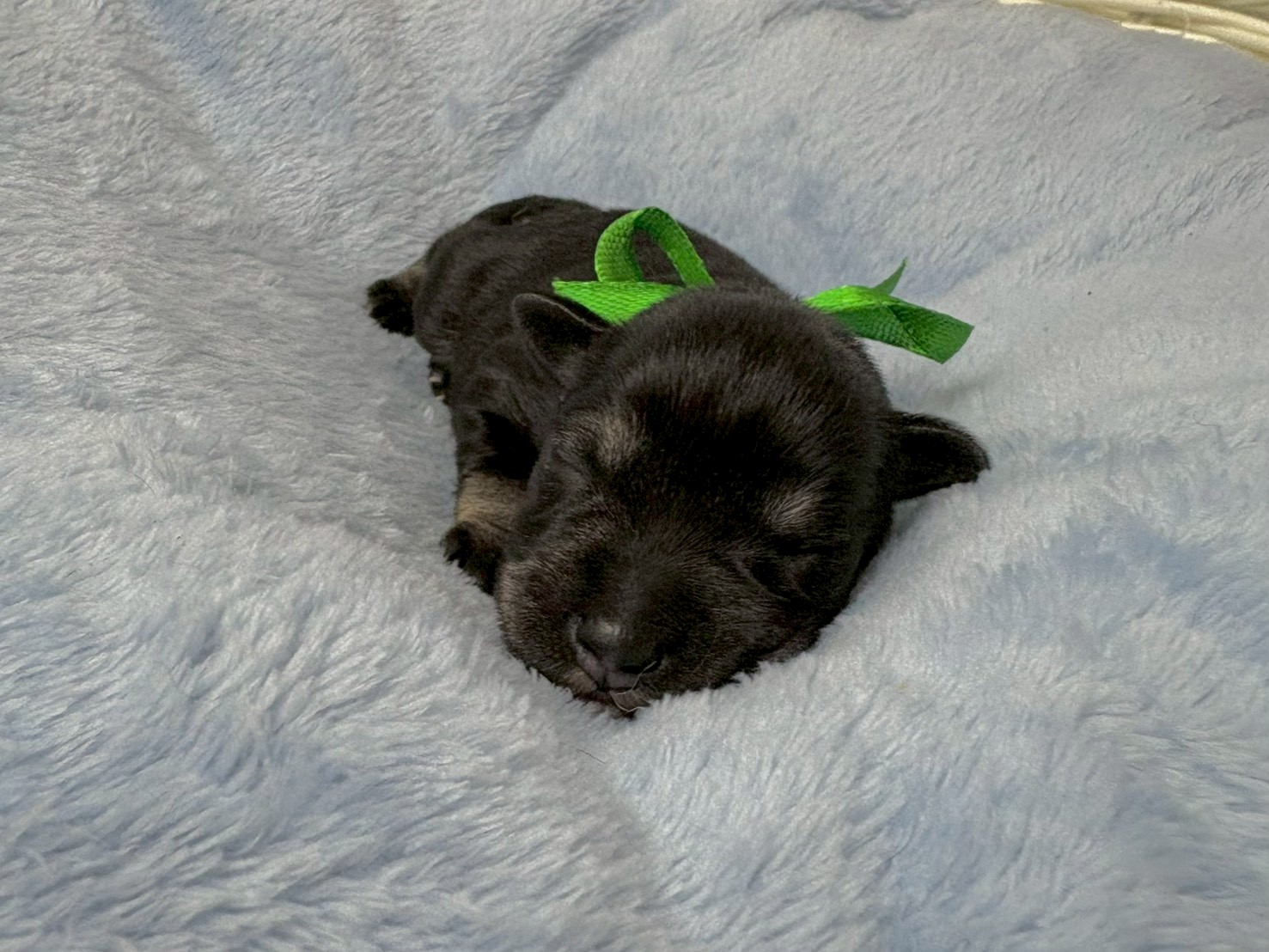 赤ちゃん写真1-1