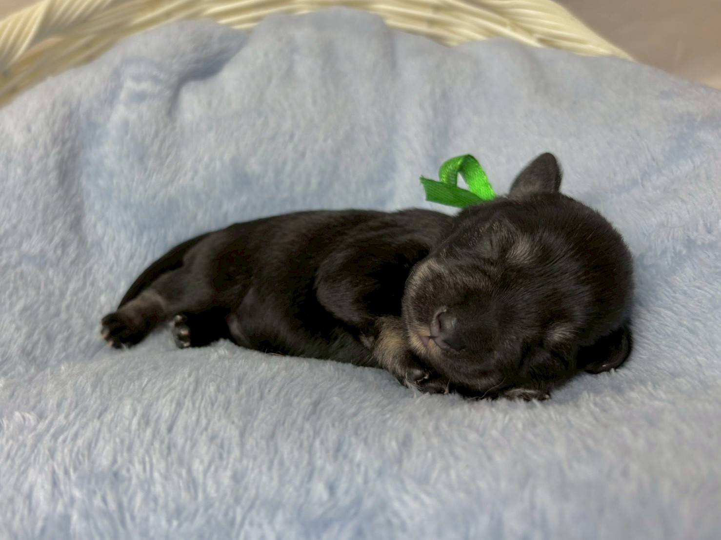 赤ちゃん写真1-2