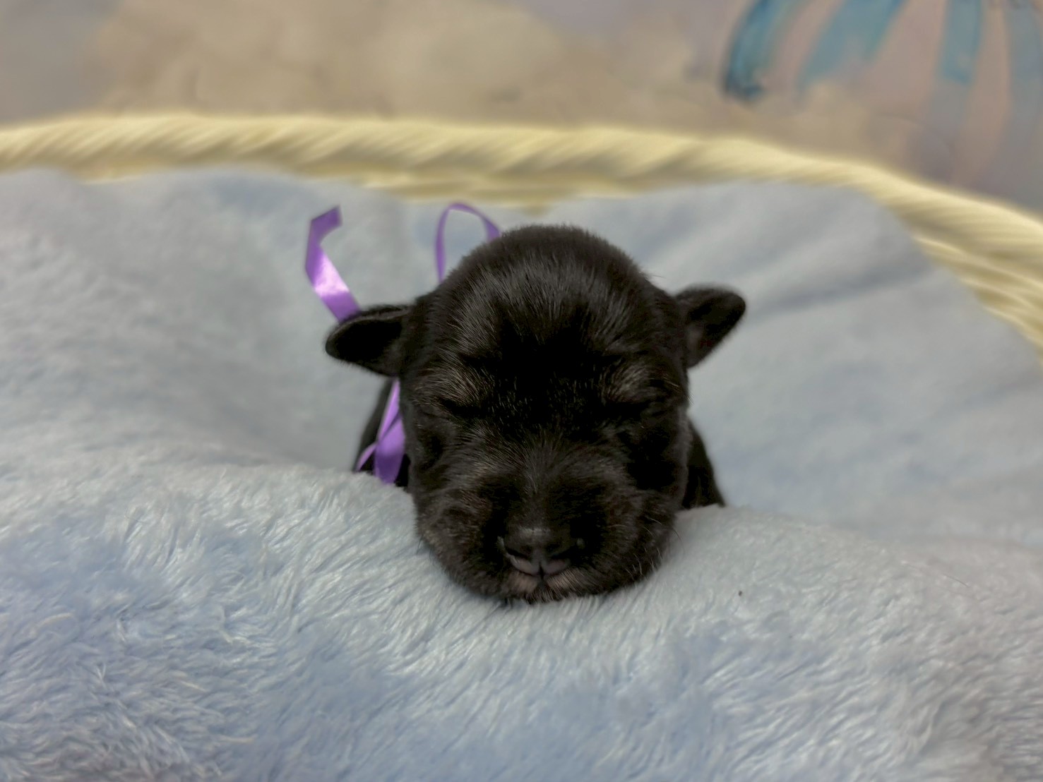 赤ちゃん写真1-1