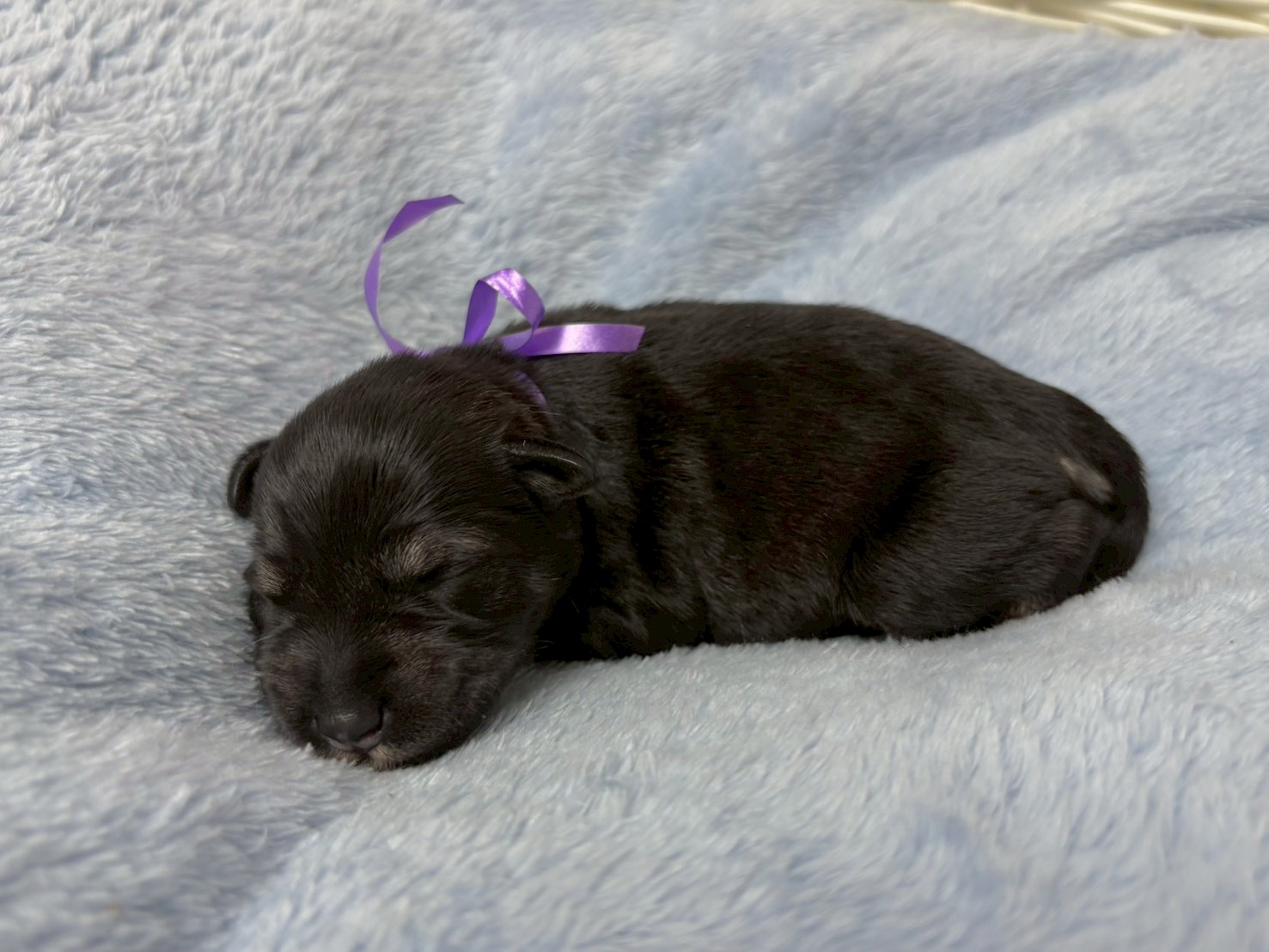 赤ちゃん写真1-2