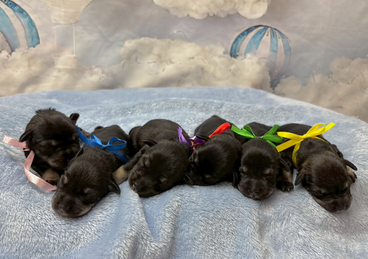 赤ちゃん写真1-3