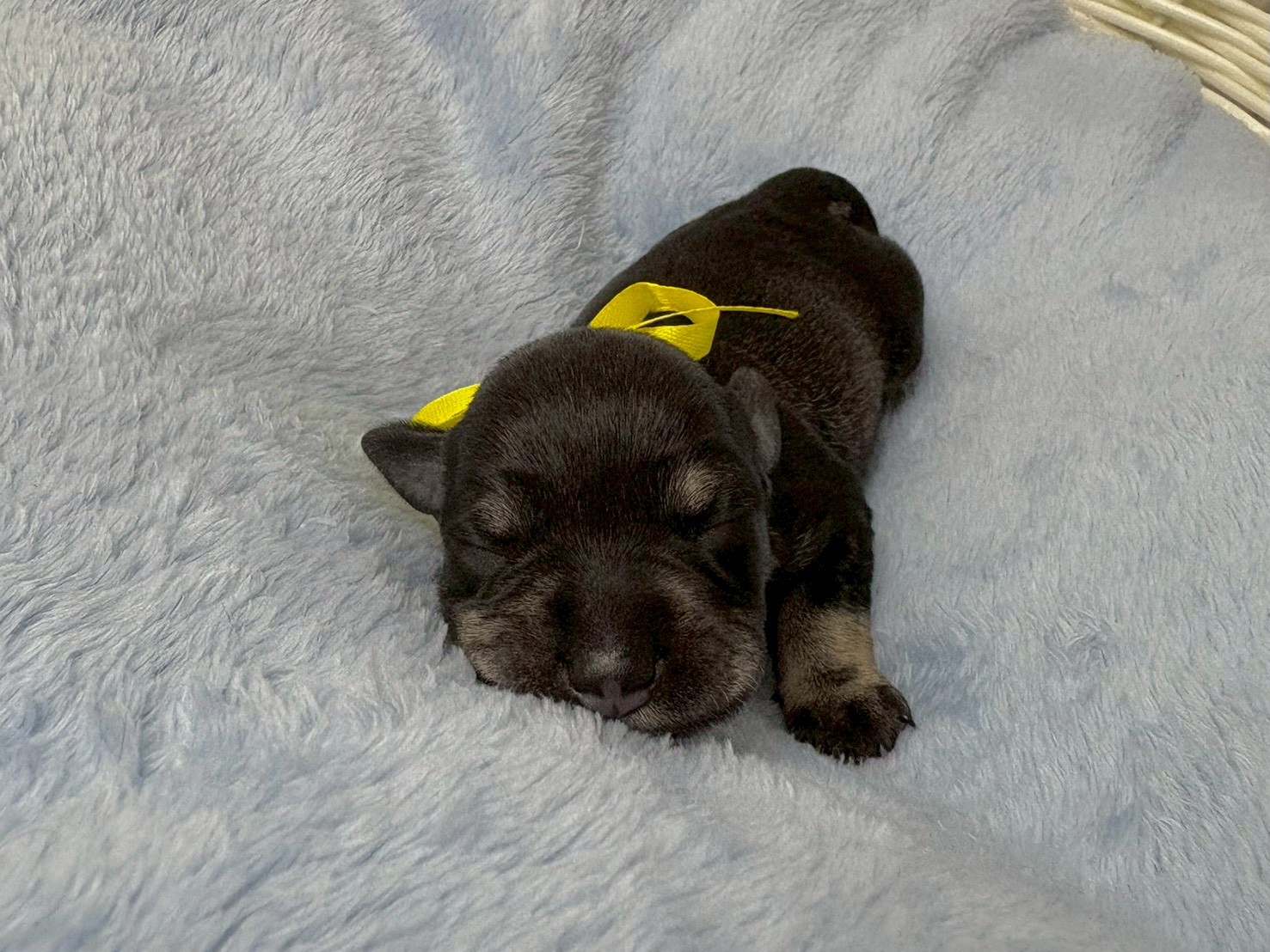 赤ちゃん写真1-1