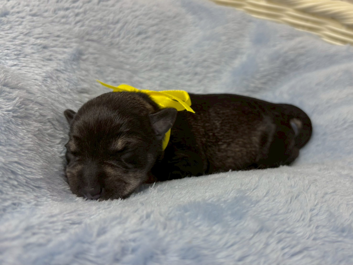 赤ちゃん写真1-2