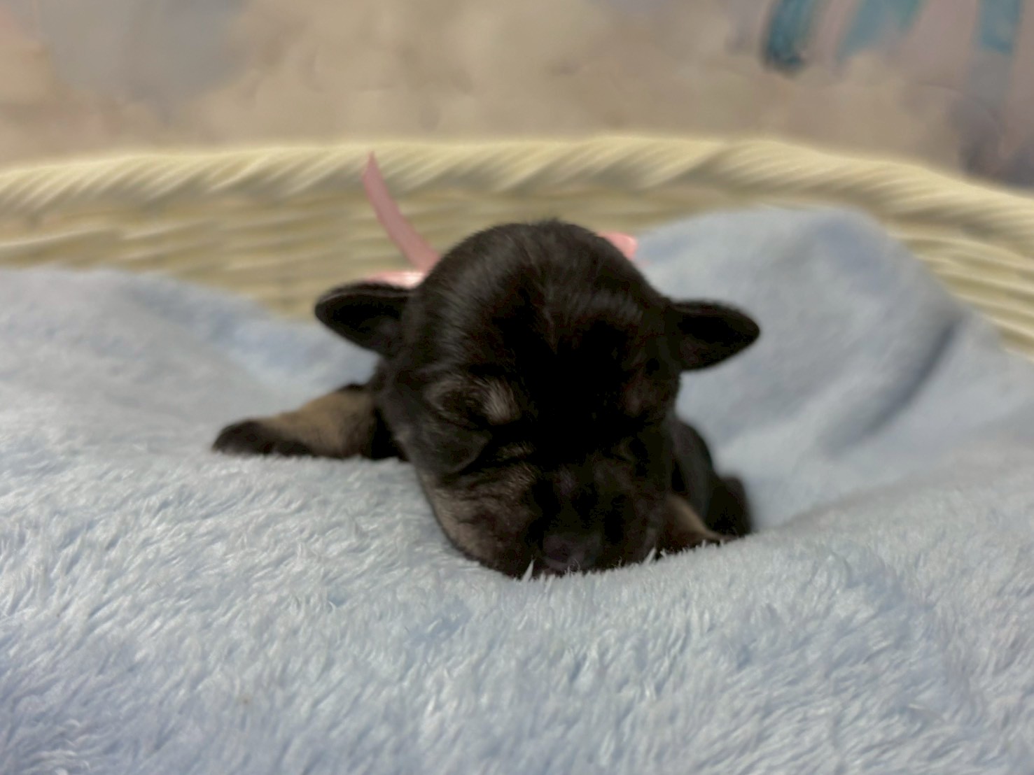 赤ちゃん写真1-1