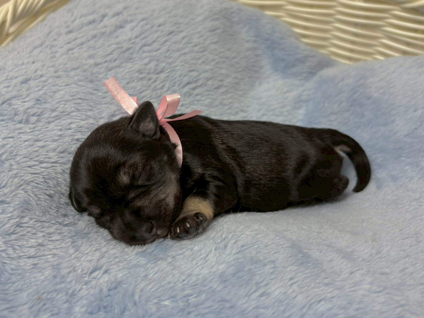 赤ちゃん写真1-2