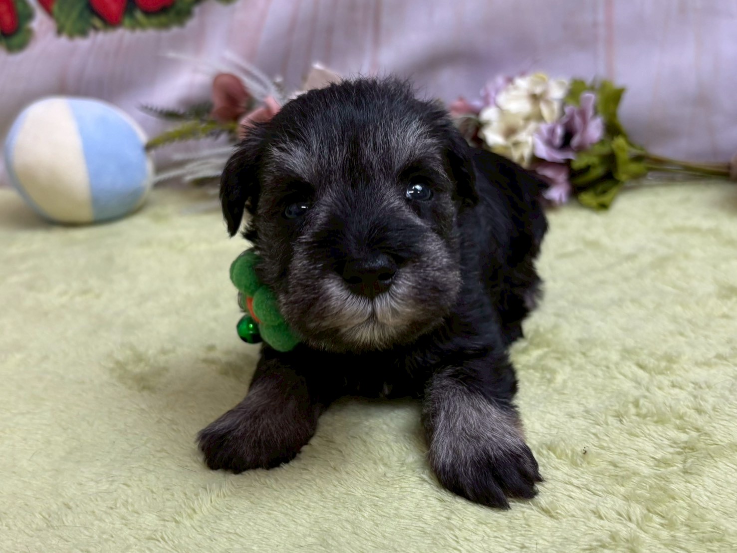 赤ちゃん写真2-1