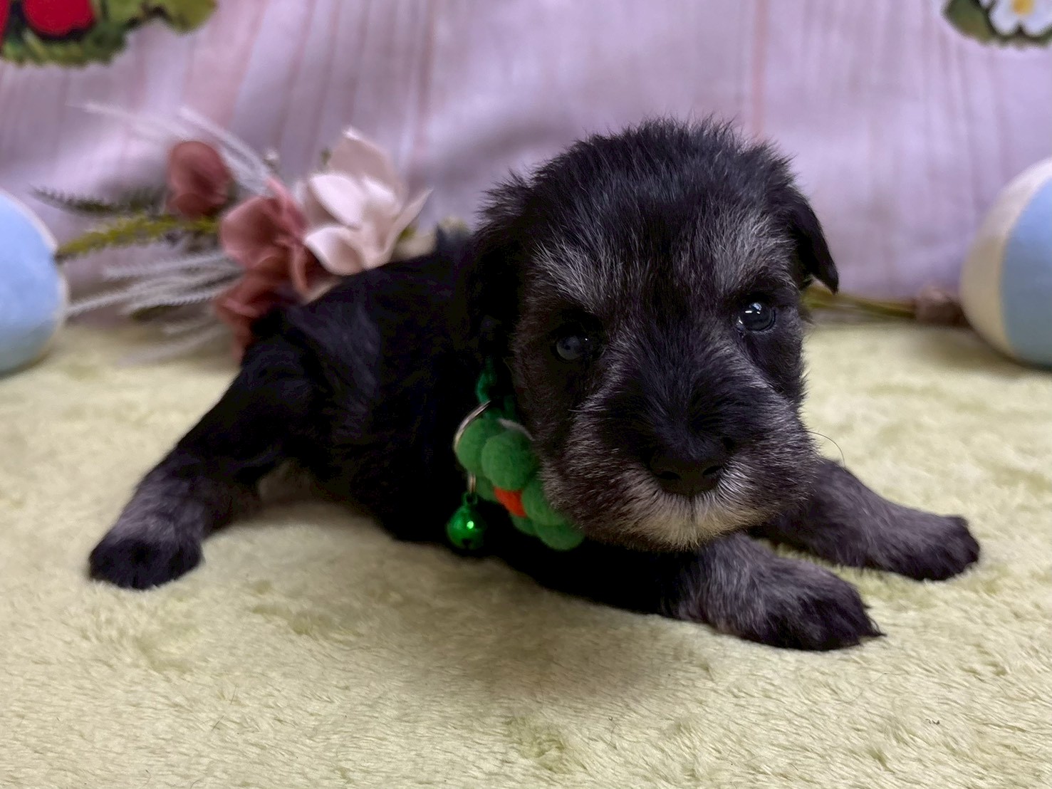 赤ちゃん写真2-2