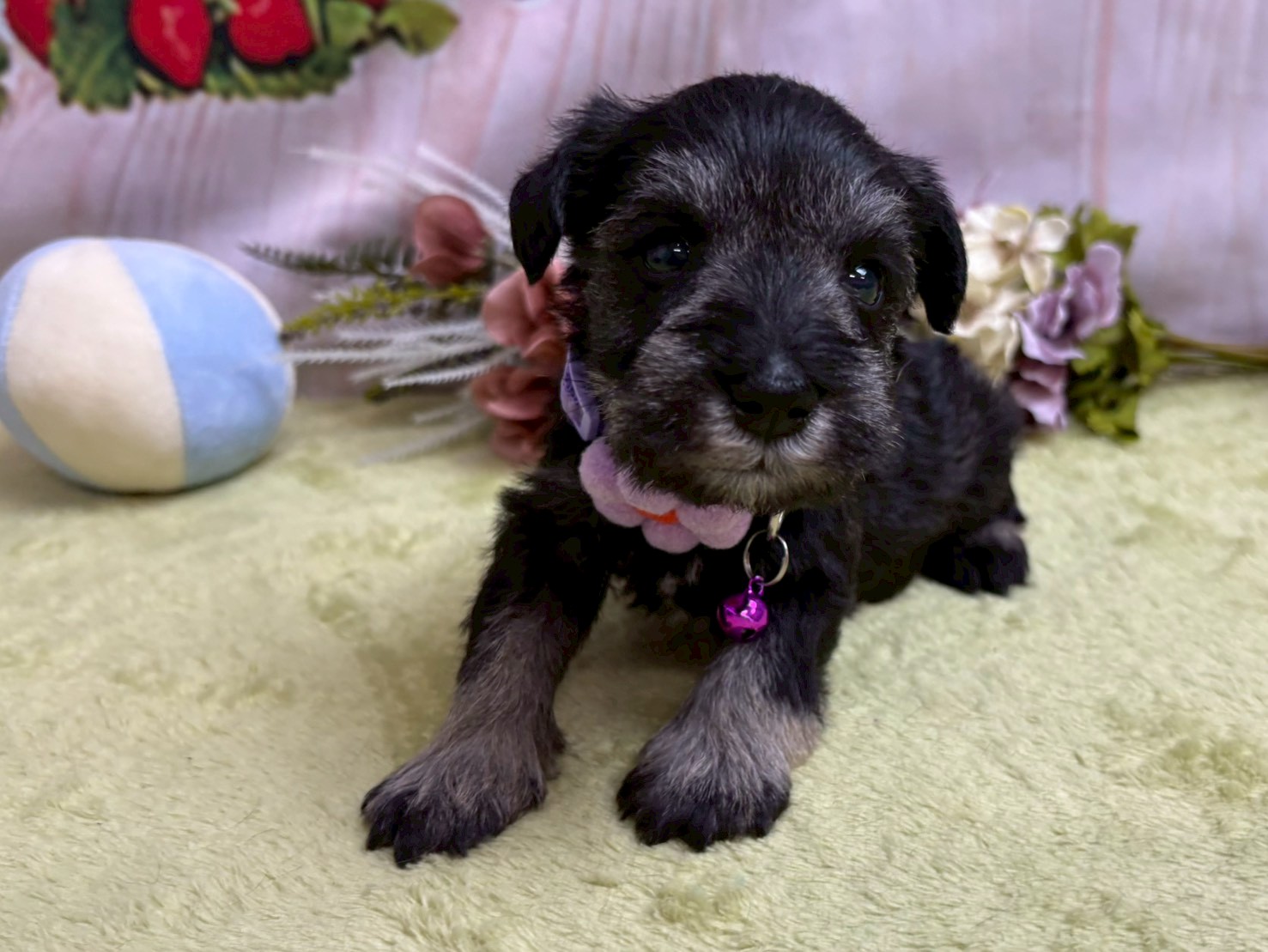 赤ちゃん写真2-1