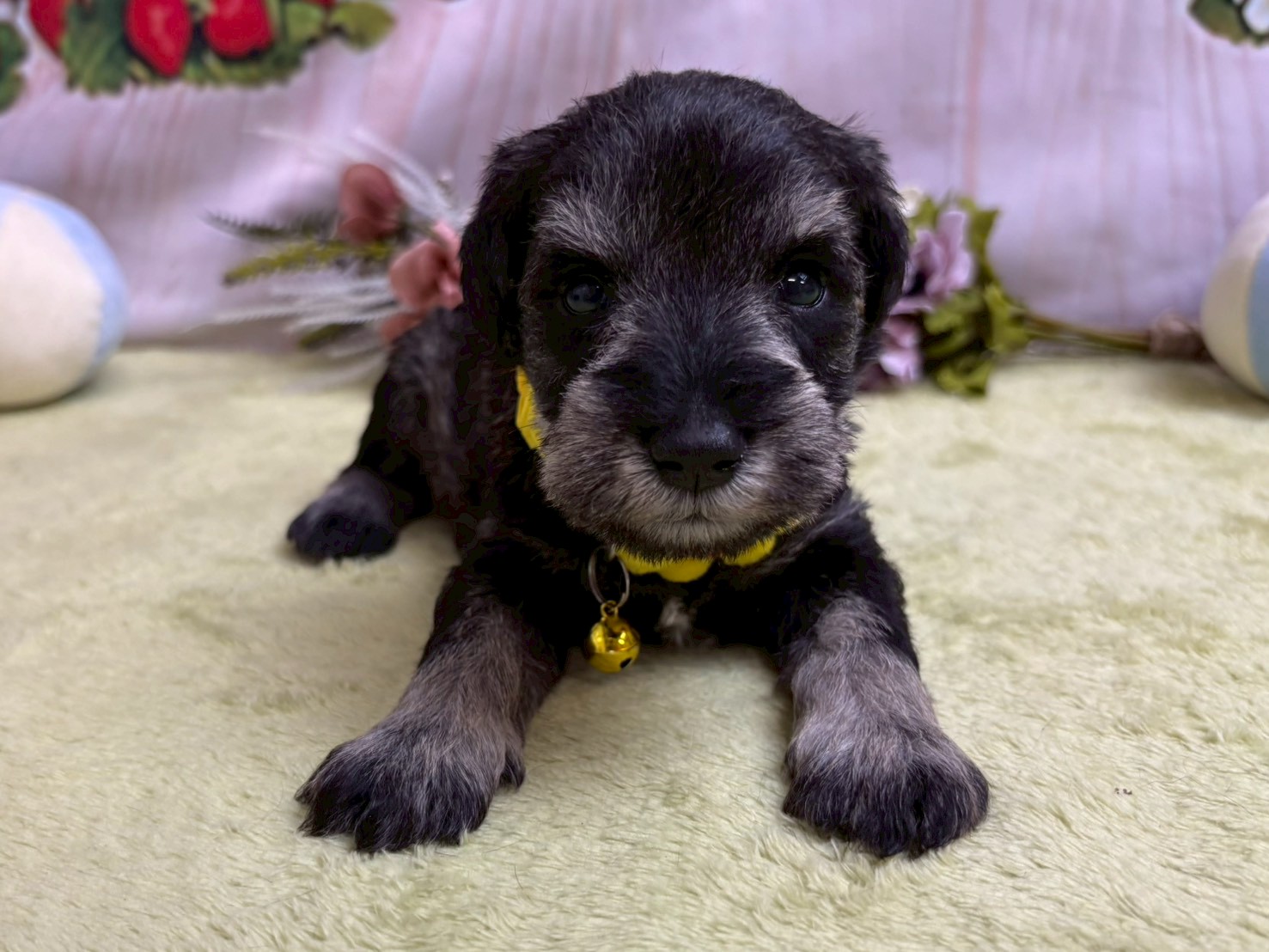 赤ちゃん写真2-1