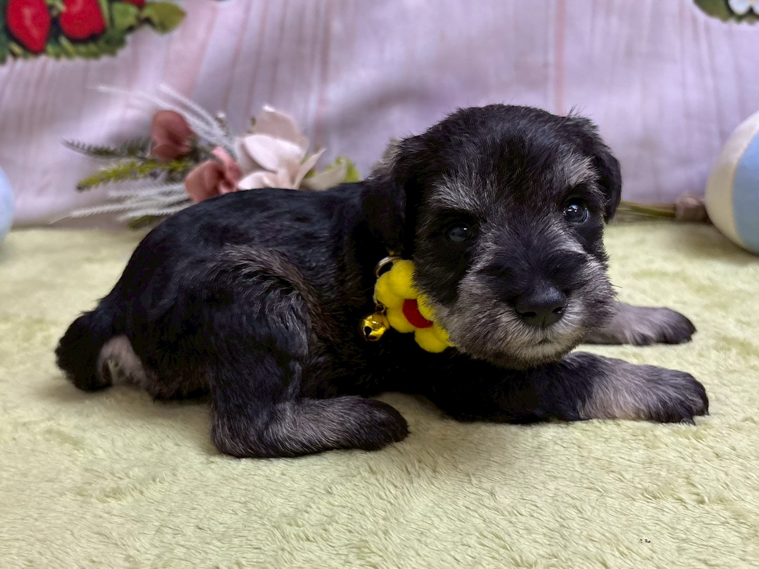 赤ちゃん写真2-2