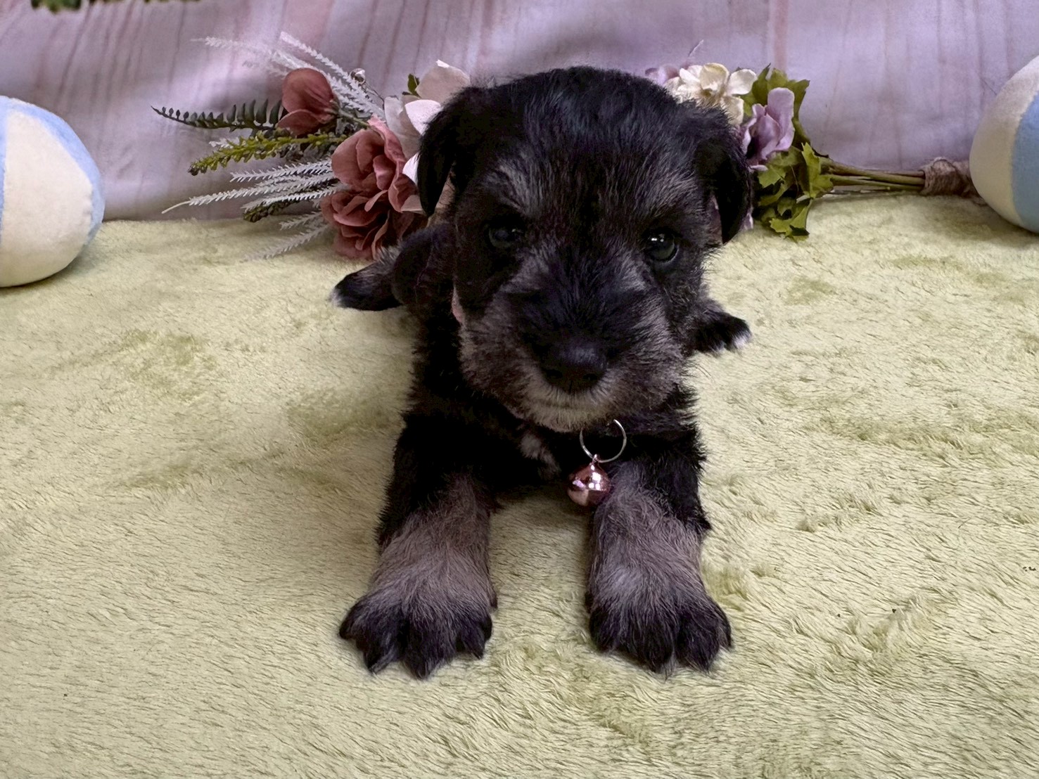 赤ちゃん写真2-1