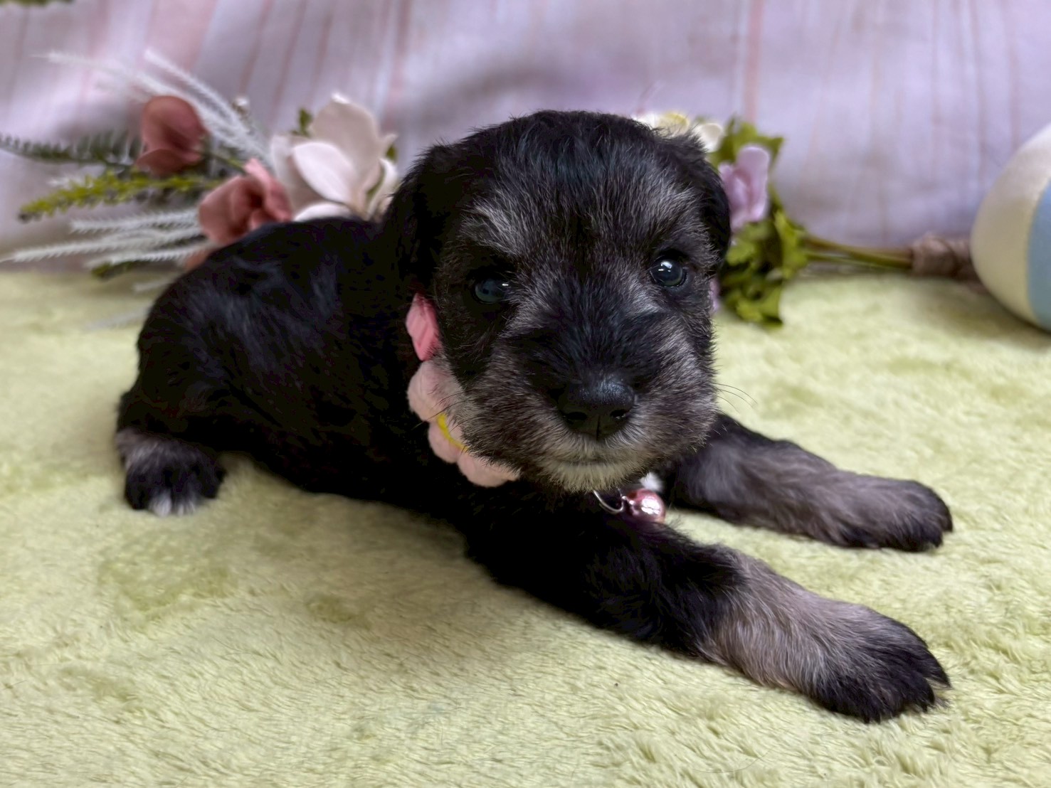 赤ちゃん写真2-2