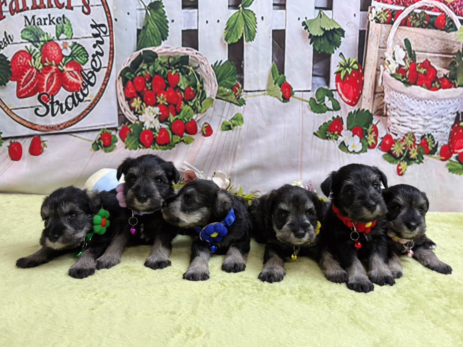 赤ちゃん写真2-3