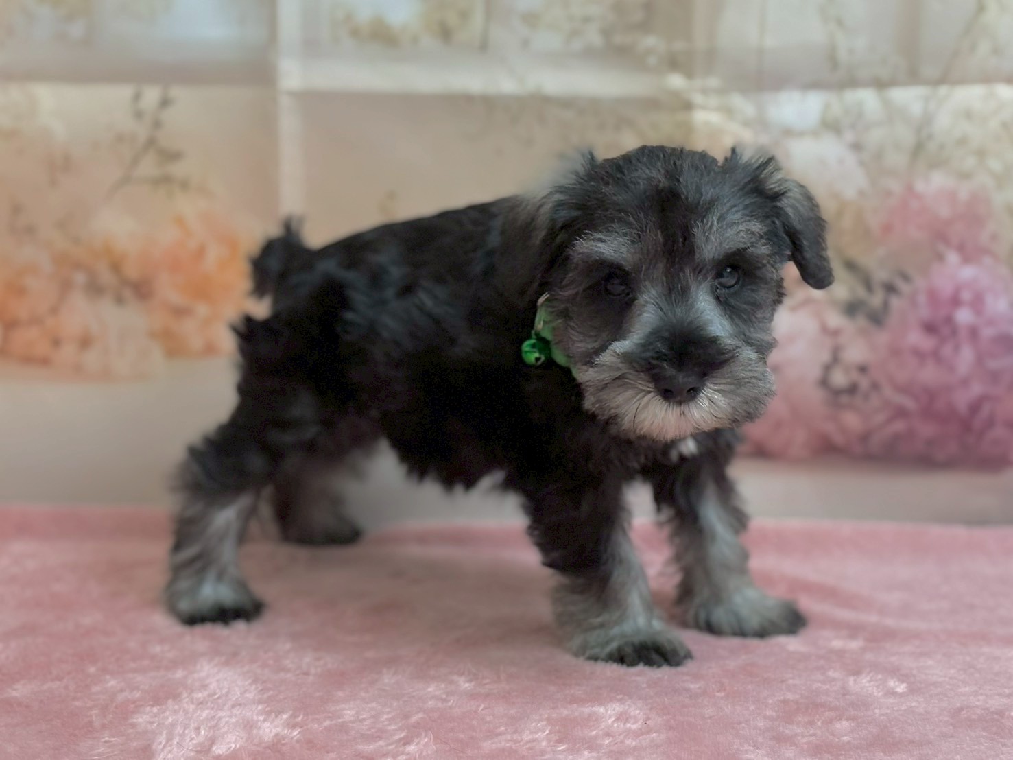 赤ちゃん写真3-2