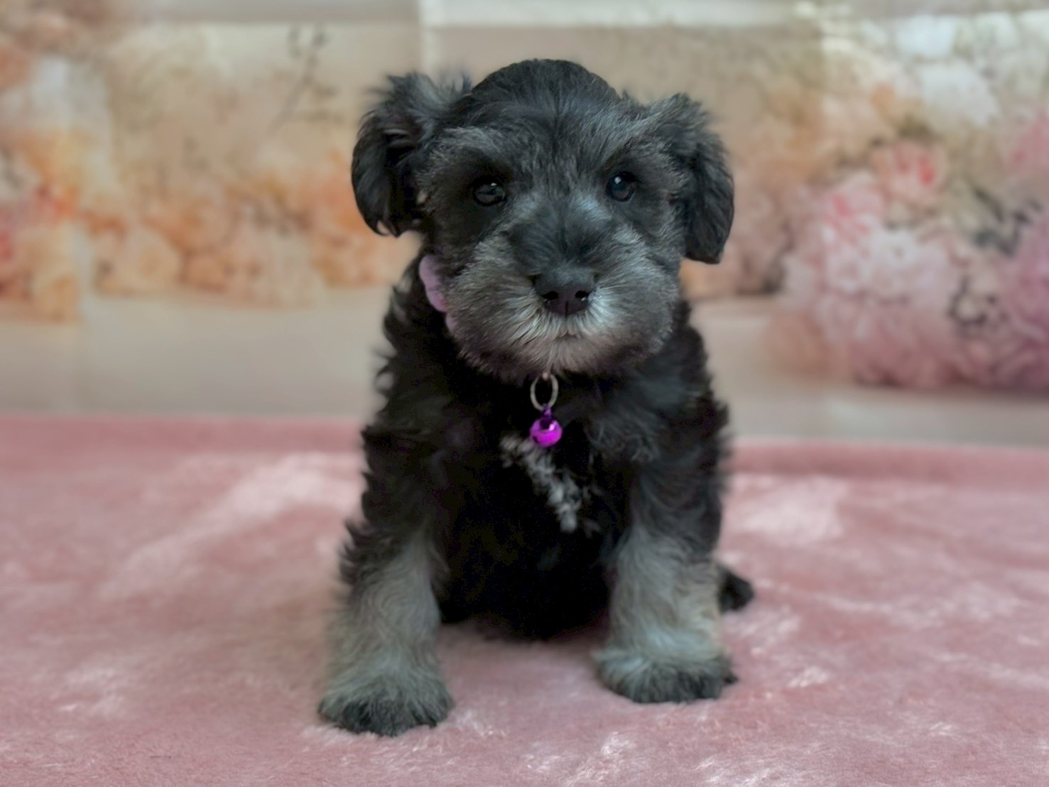 赤ちゃん写真3-1