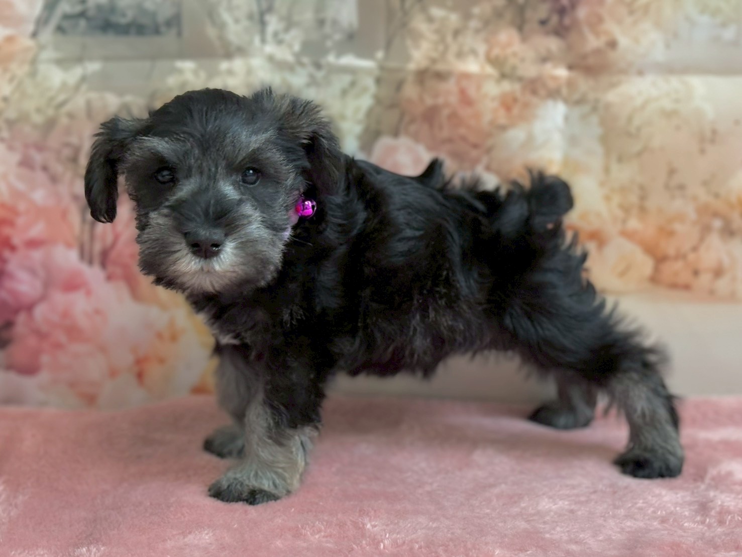 赤ちゃん写真3-2