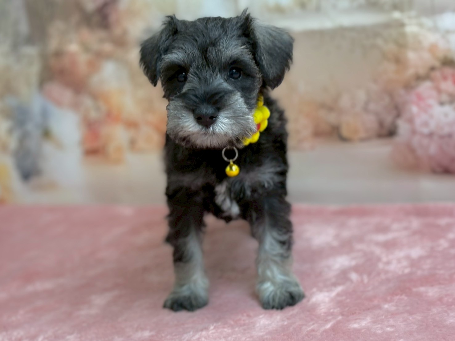 赤ちゃん写真3-1