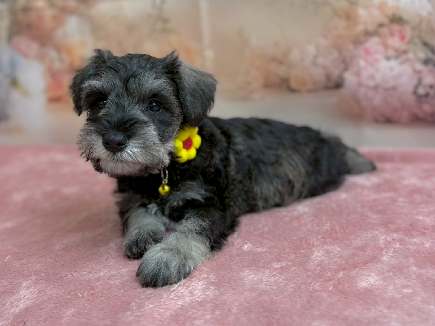 赤ちゃん写真3-2