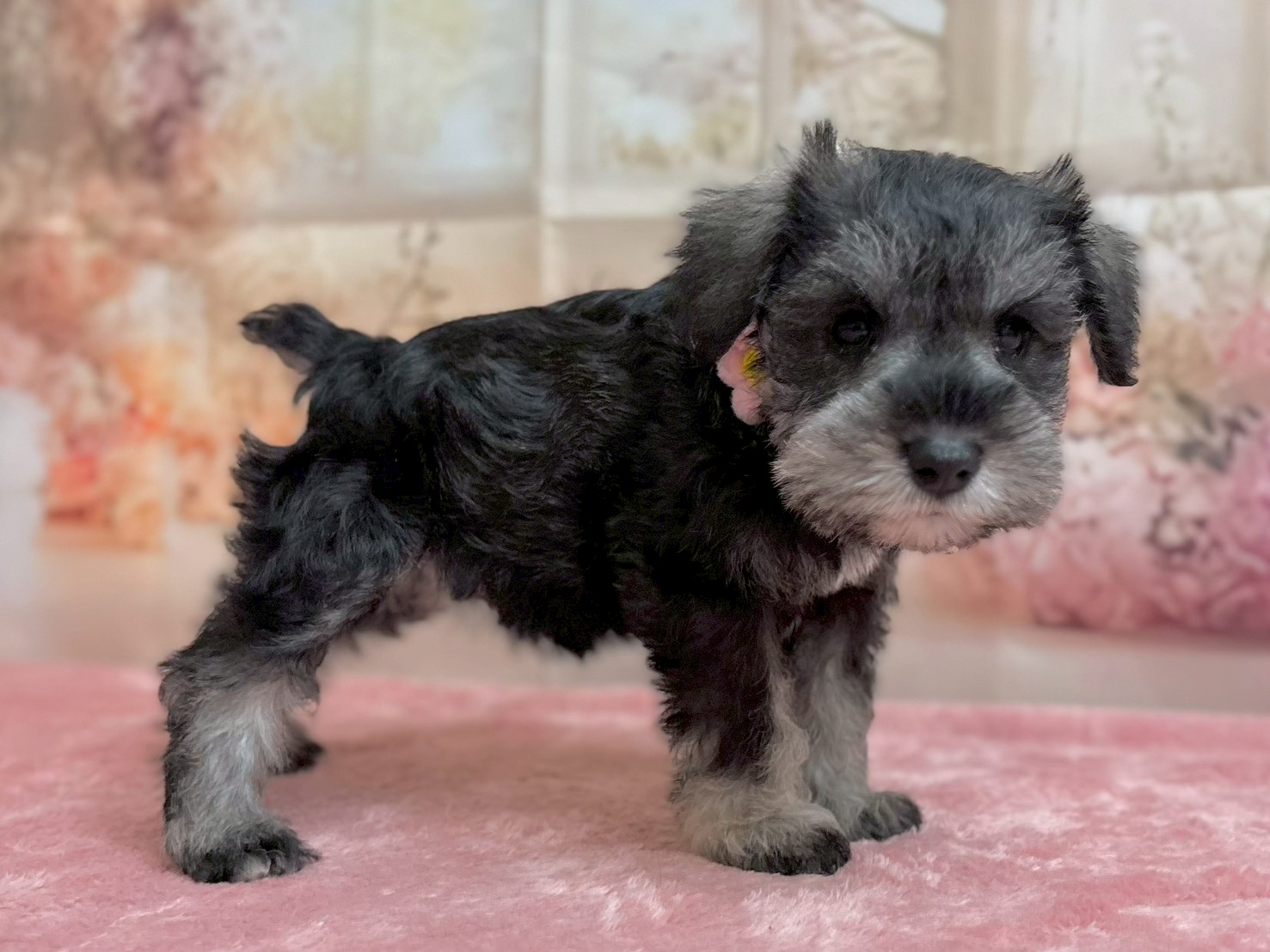 赤ちゃん写真3-2