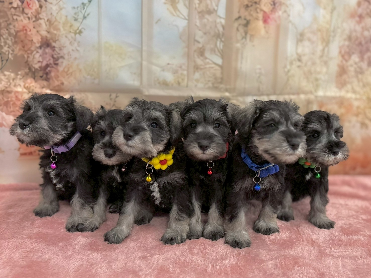 赤ちゃん写真3-3