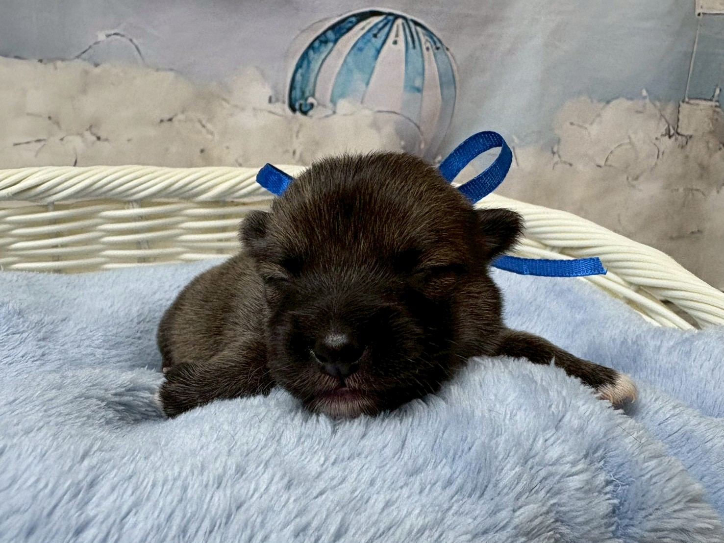 赤ちゃん写真1-1