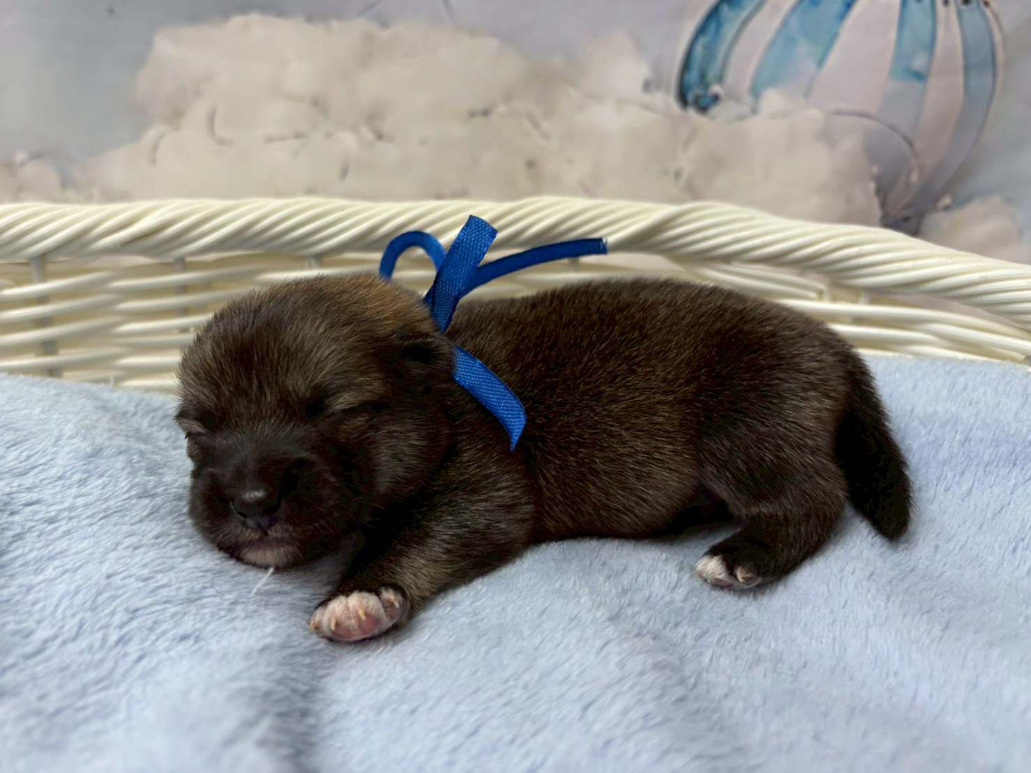 赤ちゃん写真1-2
