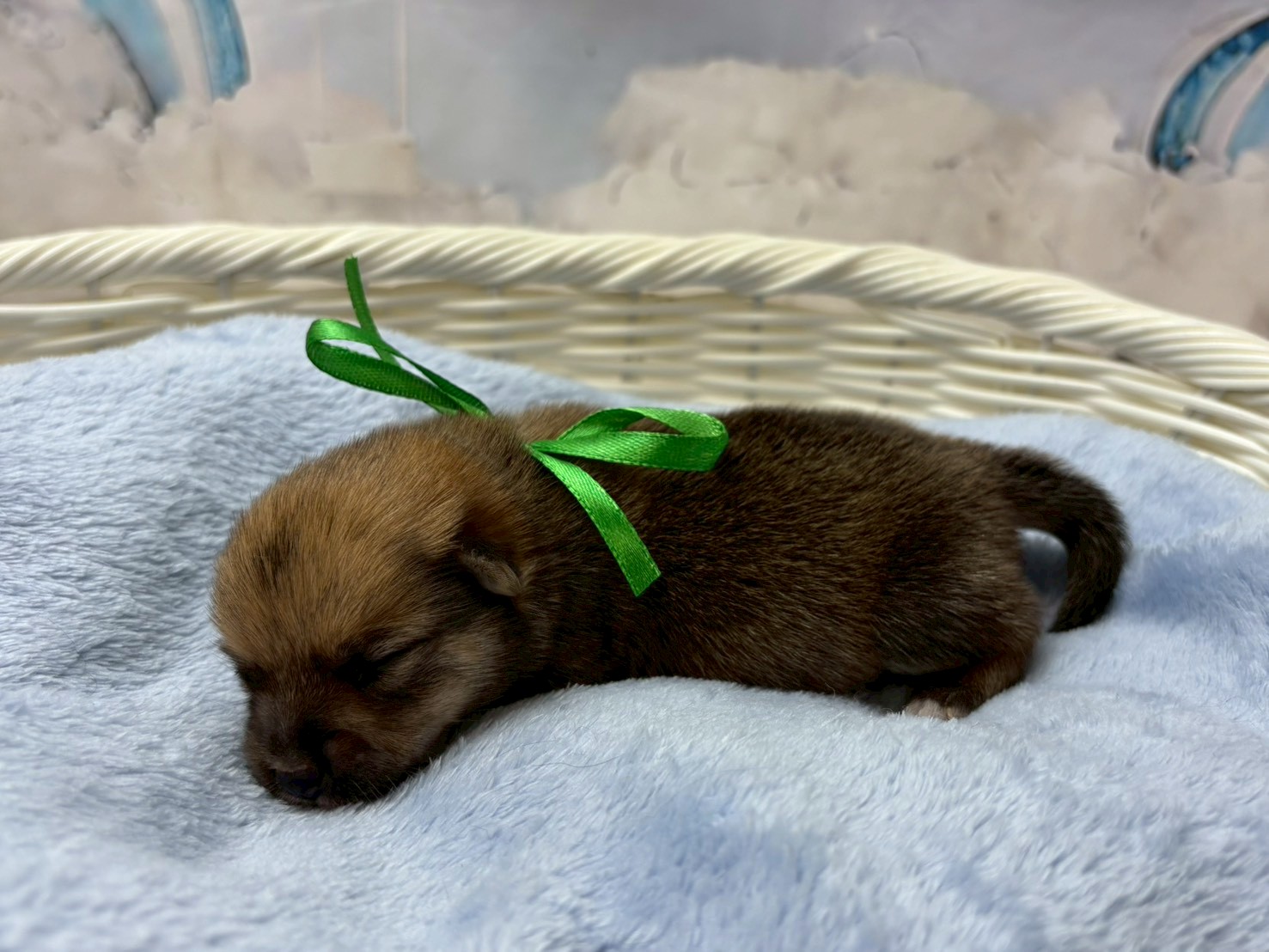 赤ちゃん写真1-2