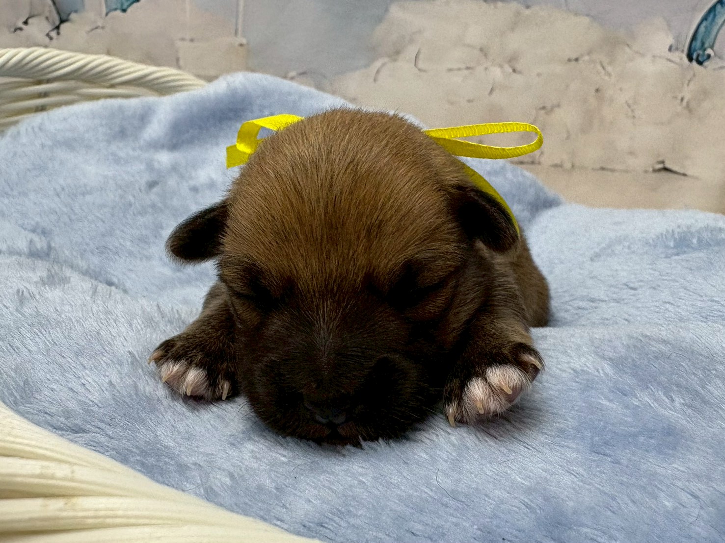 赤ちゃん写真1-1