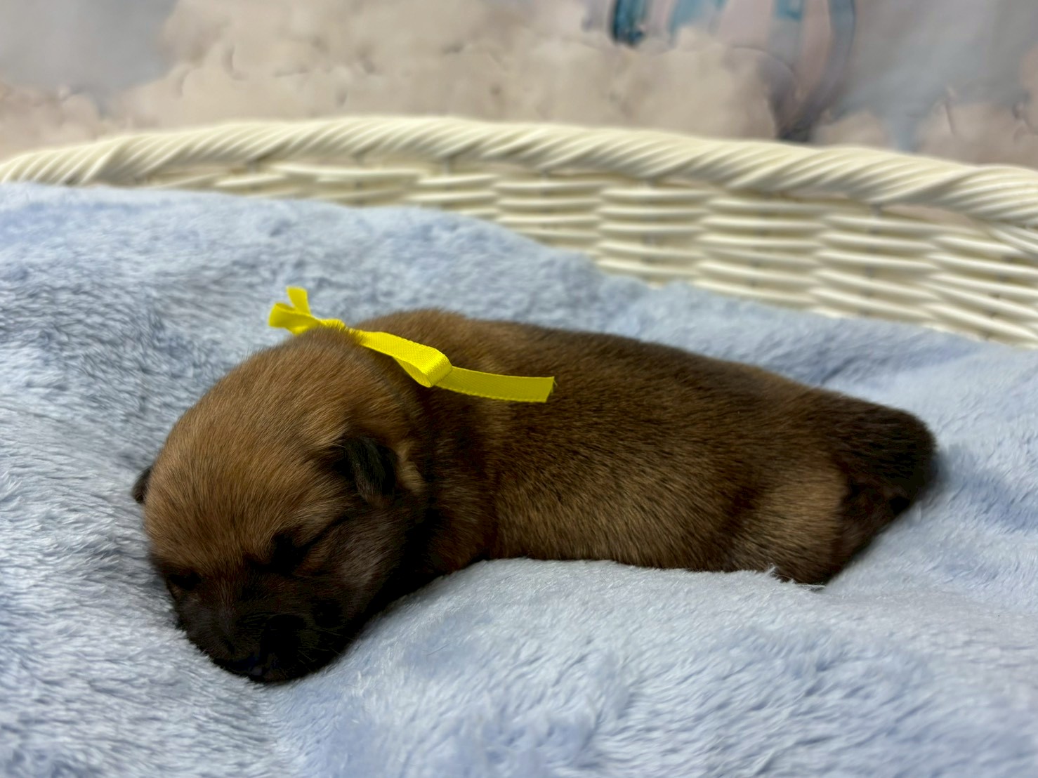 赤ちゃん写真1-2