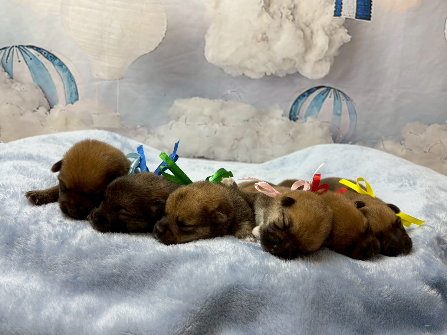 赤ちゃん写真1-3