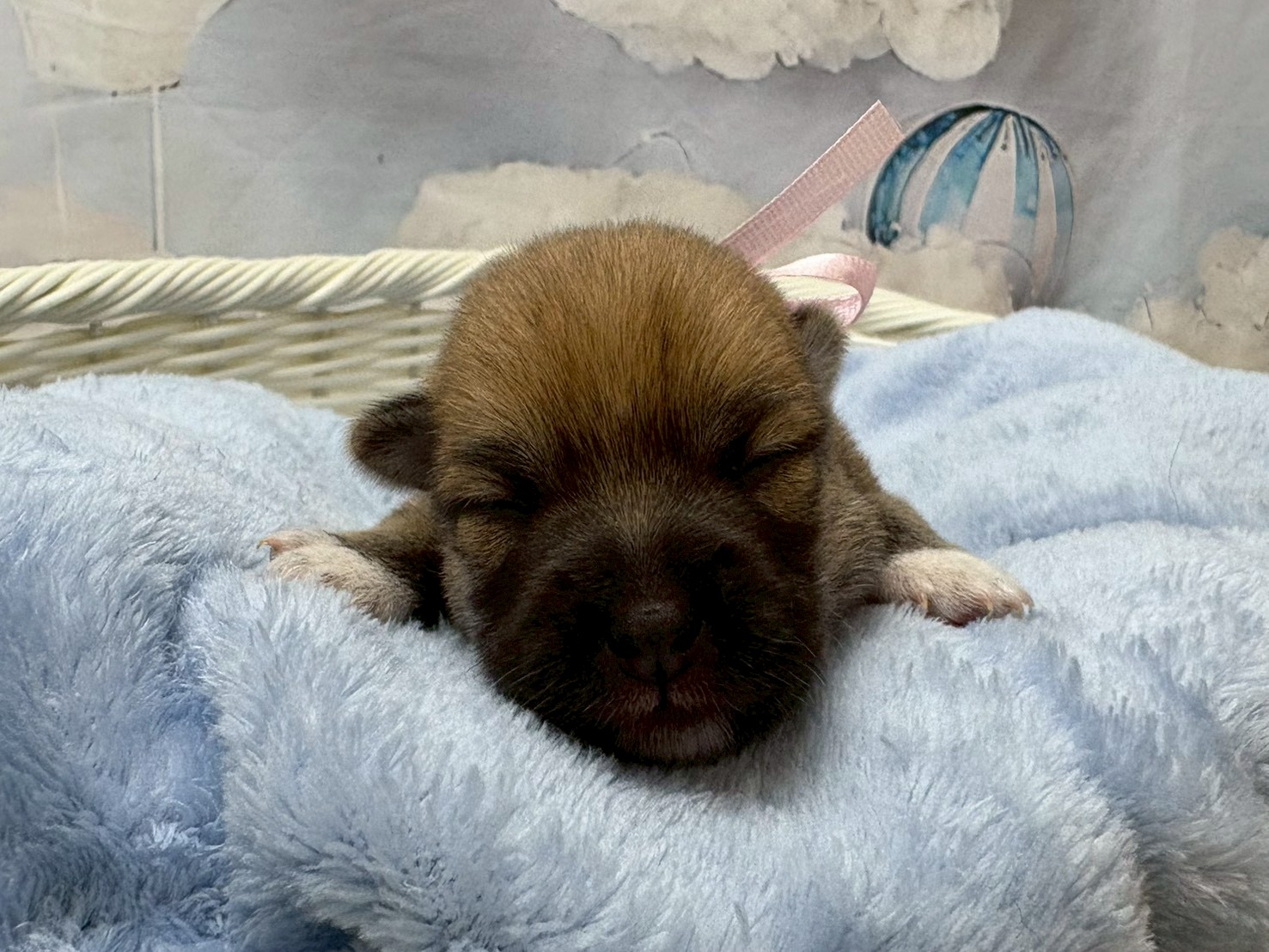 赤ちゃん写真1-1