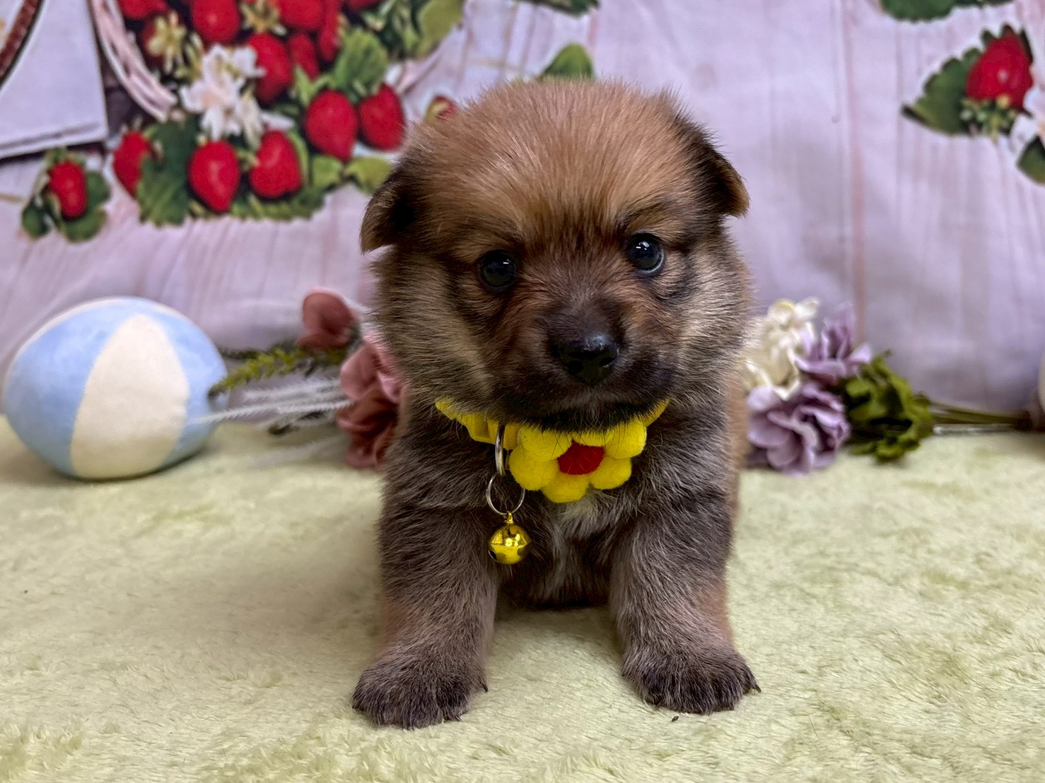 赤ちゃん写真2-1