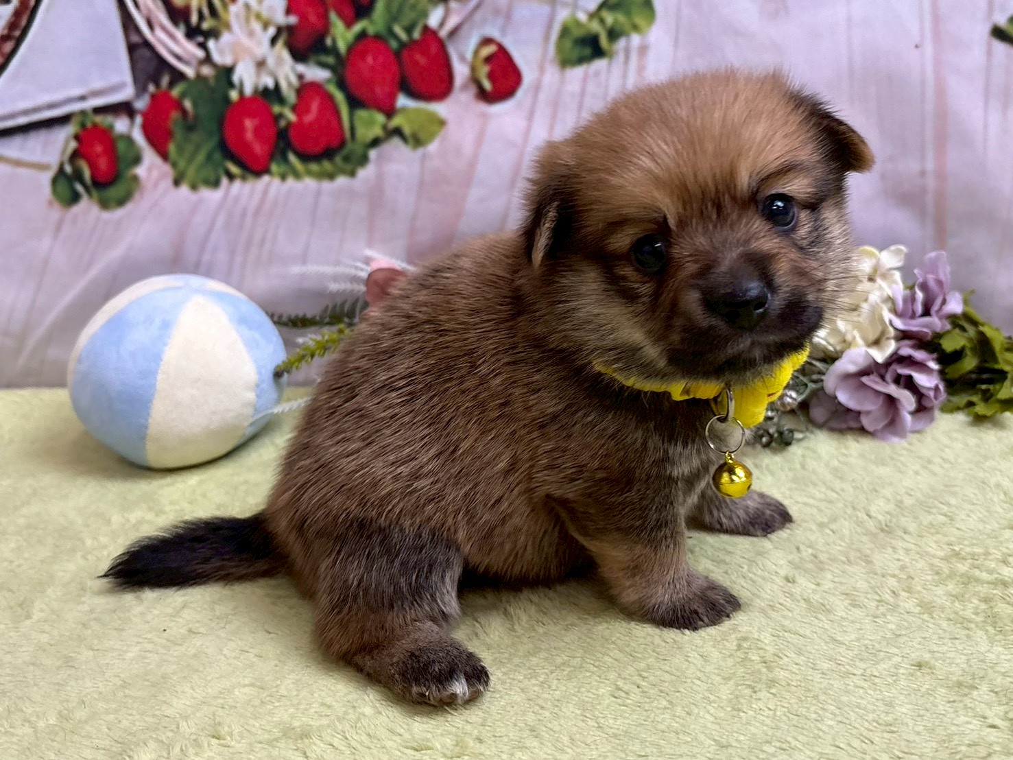 赤ちゃん写真2-2